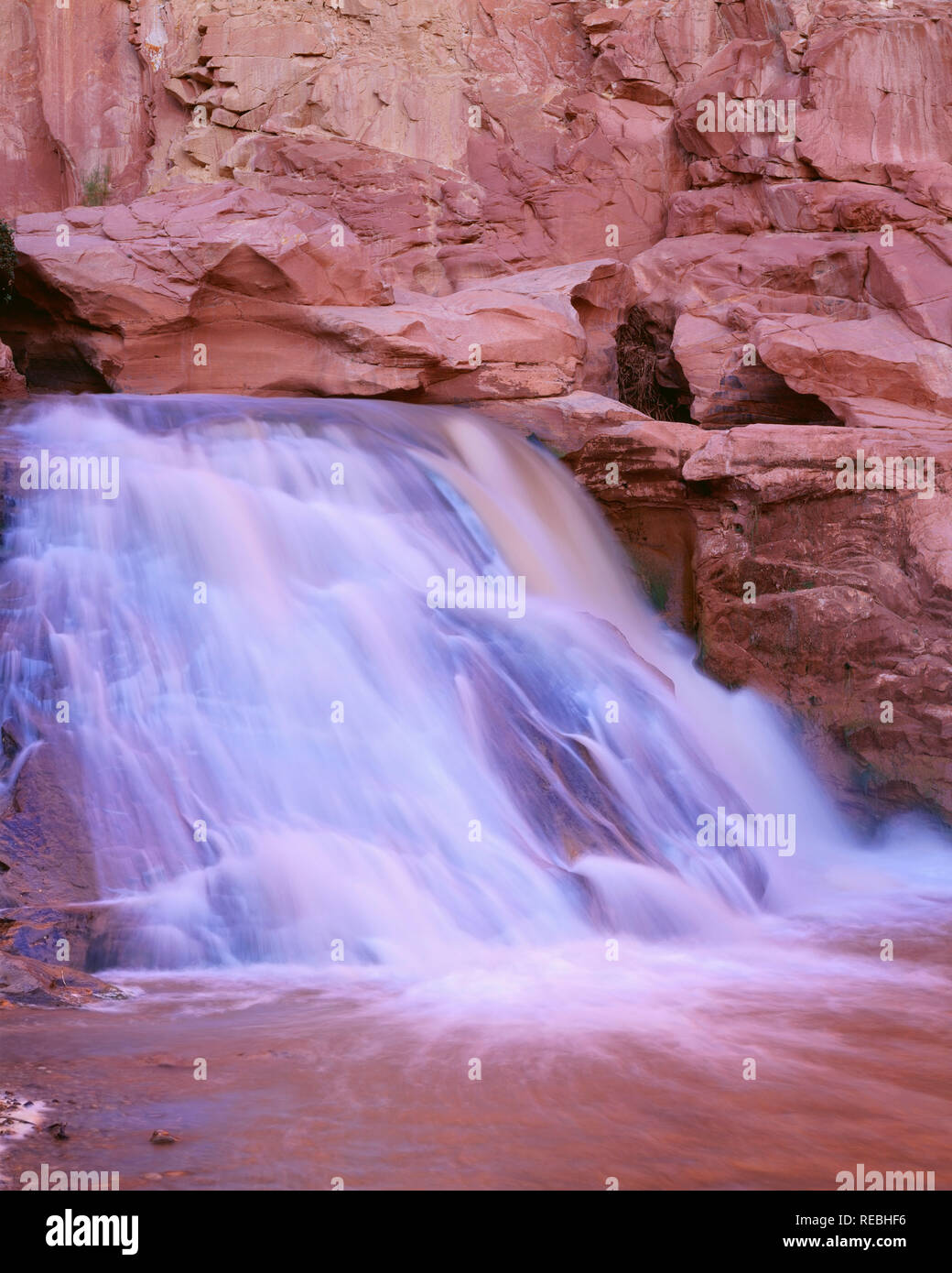 USA, Utah, Capitol Reef National Park, Wasserfall am Fremont River fließt über Sandstein. Stockfoto