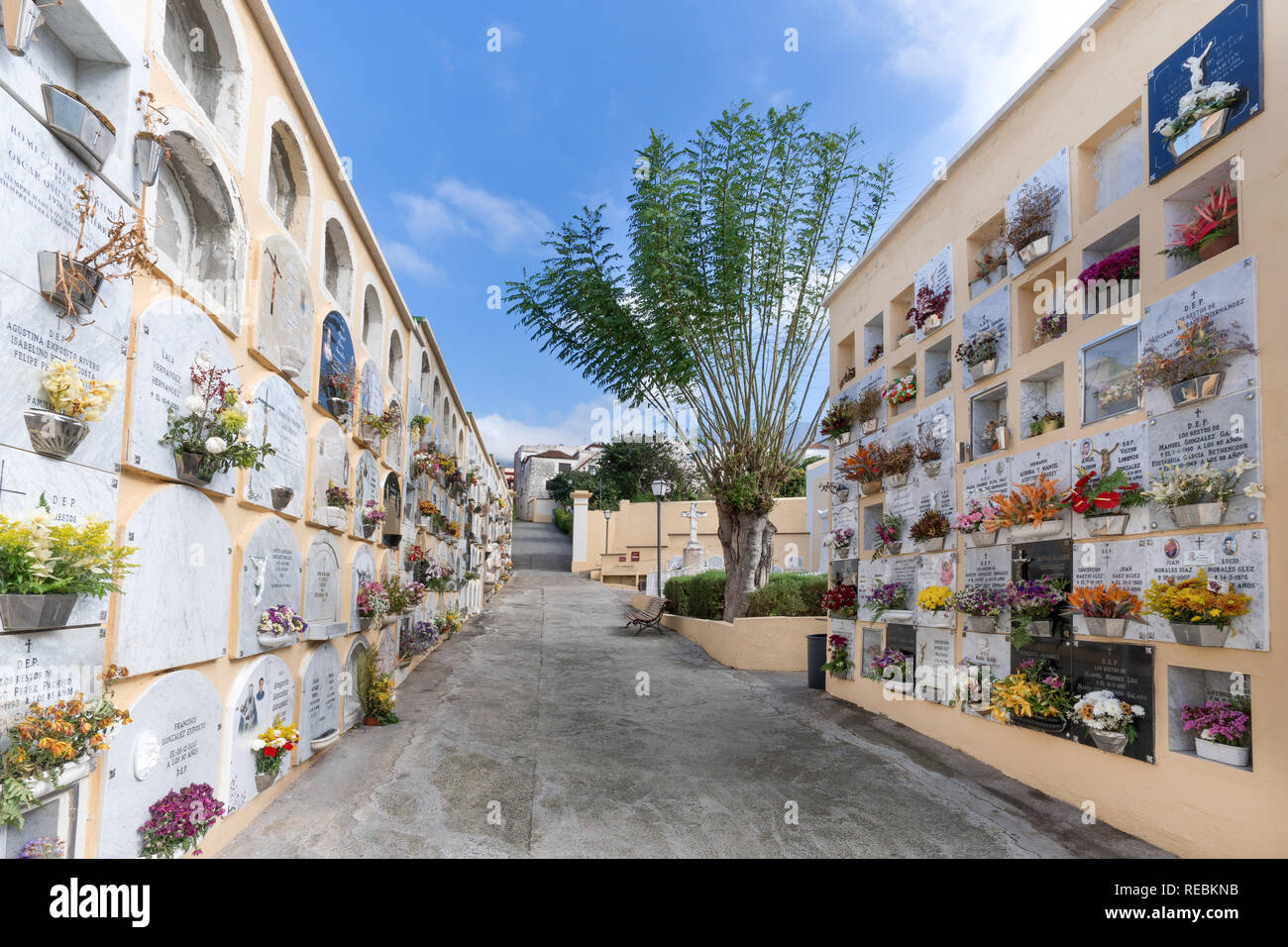 Friedhof in La Orotava, Teneriffa Stockfoto