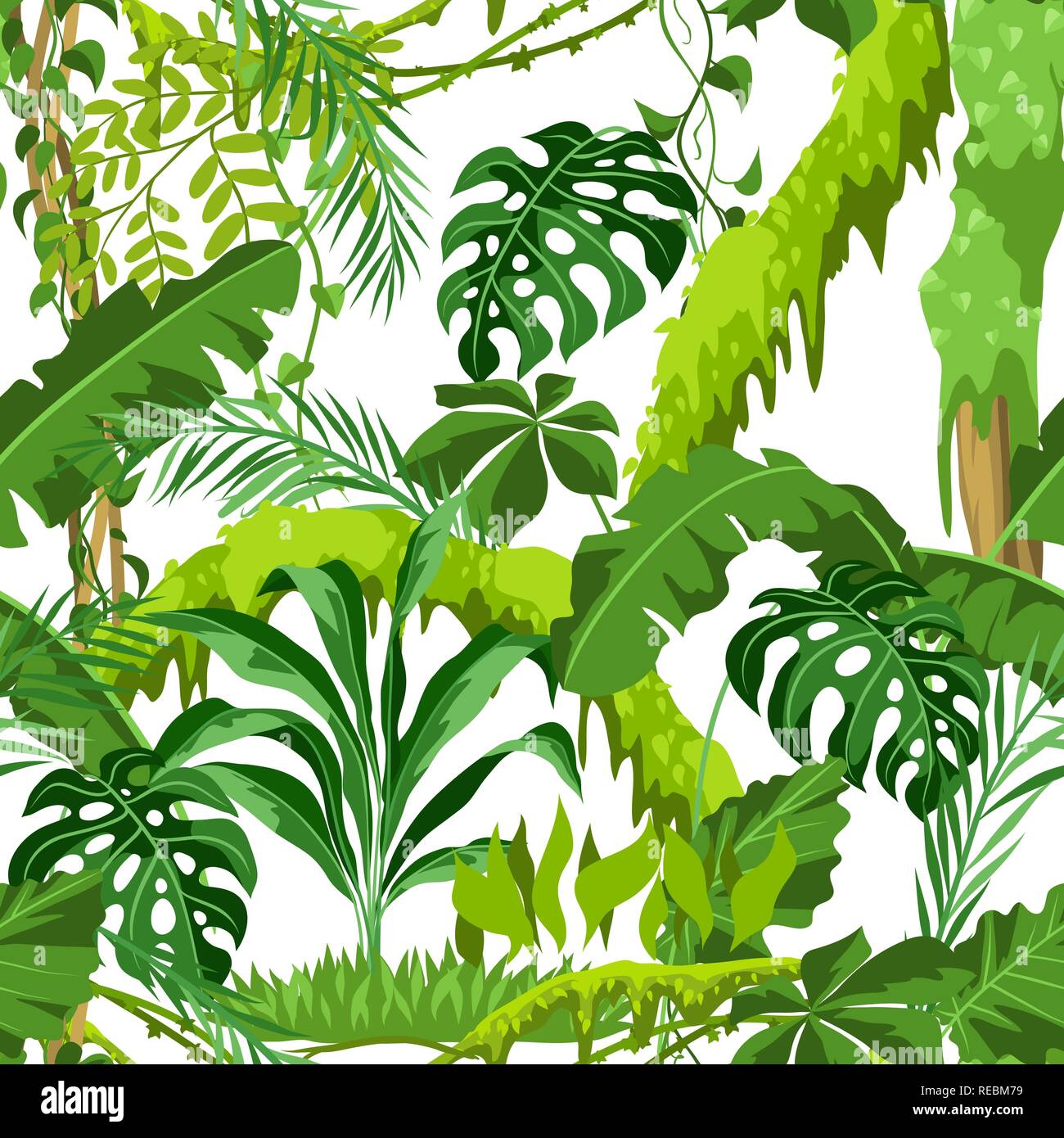 Nahtlose Muster mit Dschungel Pflanzen Stock-Vektorgrafik - Alamy