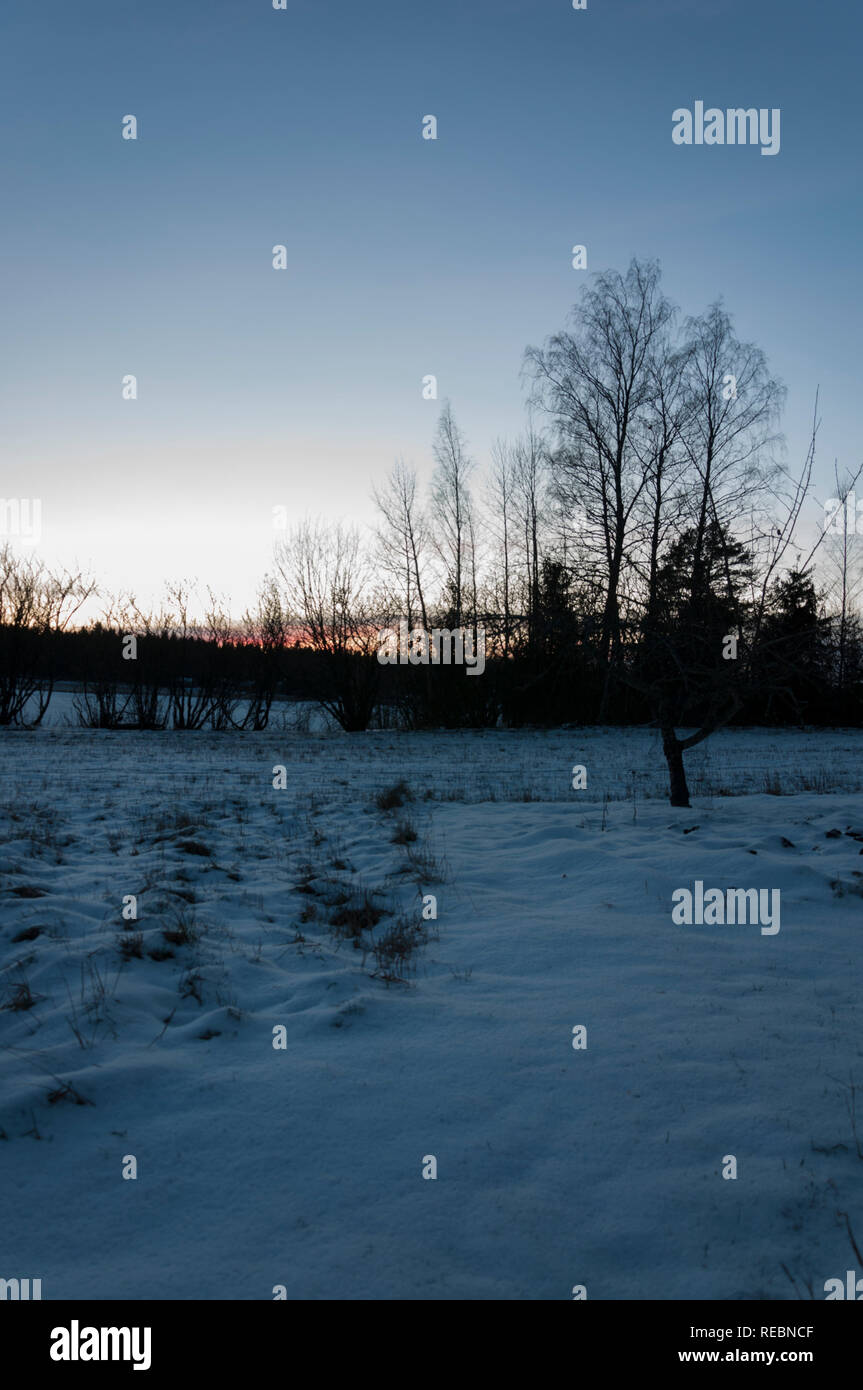 Am 26. Dezember Sun Rise in Finnland 2018 Stockfoto