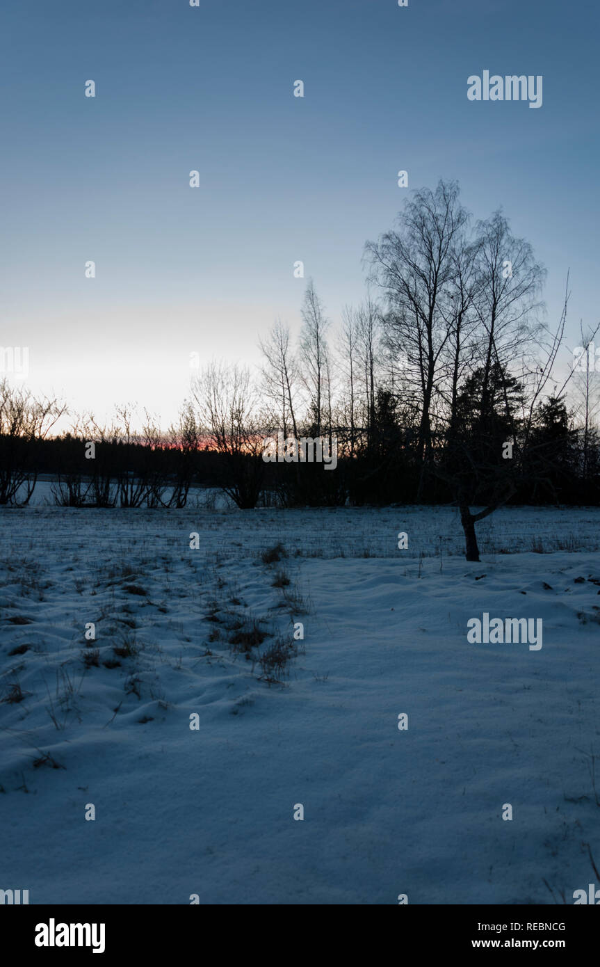 Am 26. Dezember Sun Rise in Finnland 2018 Stockfoto