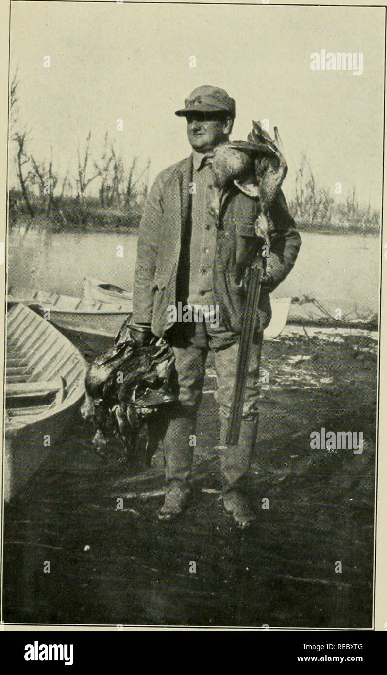 . Ducking Tagen: Erzählungen der Entenjagd, Studien der Wildvogel leben und Erinnerungen an berühmte Sportschützen auf das Marschland und an der Traps. Wasservögel schießen; Wasservögel. CHARLES L. SHEPPERTON. Chicago, III. "Ein großer Tag auf dem Illinois River.". Bitte beachten Sie, dass diese Bilder sind von der gescannten Seite Bilder, die digital für die Lesbarkeit verbessert haben mögen - Färbung und Aussehen dieser Abbildungen können nicht perfekt dem Original ähneln. extrahiert. Morss, Charles B; Hazelton, William Chester, 1870 -. Chicago: [W. C. in Hazelton] Stockfoto