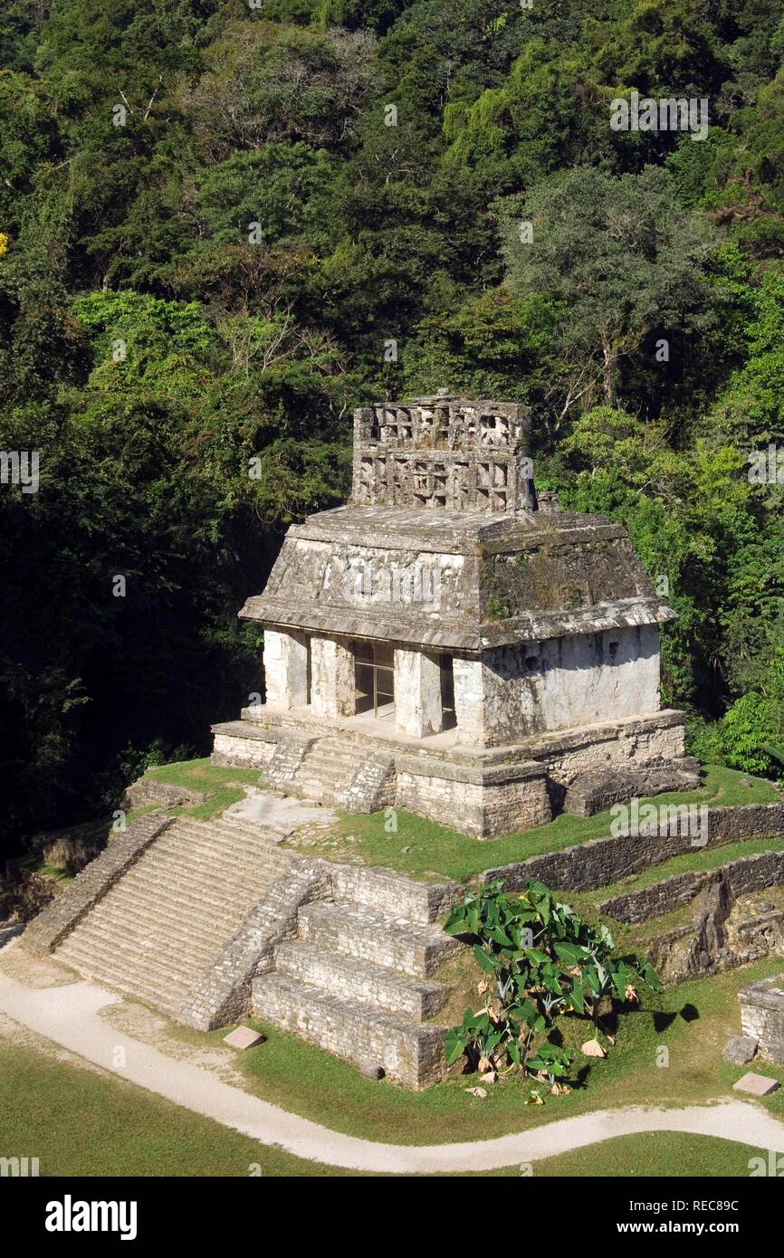 Palenque, UNESCO-Weltkulturerbe, Templo del Conde, der Tempel des Grafen, Yucatan, Mexiko Stockfoto