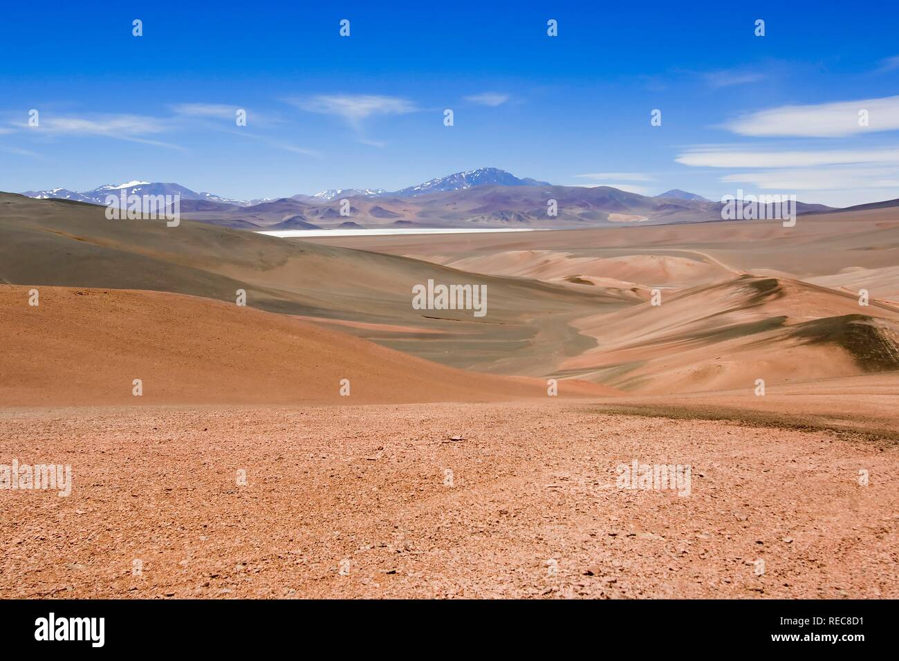 Laguna Brava, Reserva Provincial Las Vicuñas, hohen Anden, La Rioja Provinz, Argentinien Stockfoto
