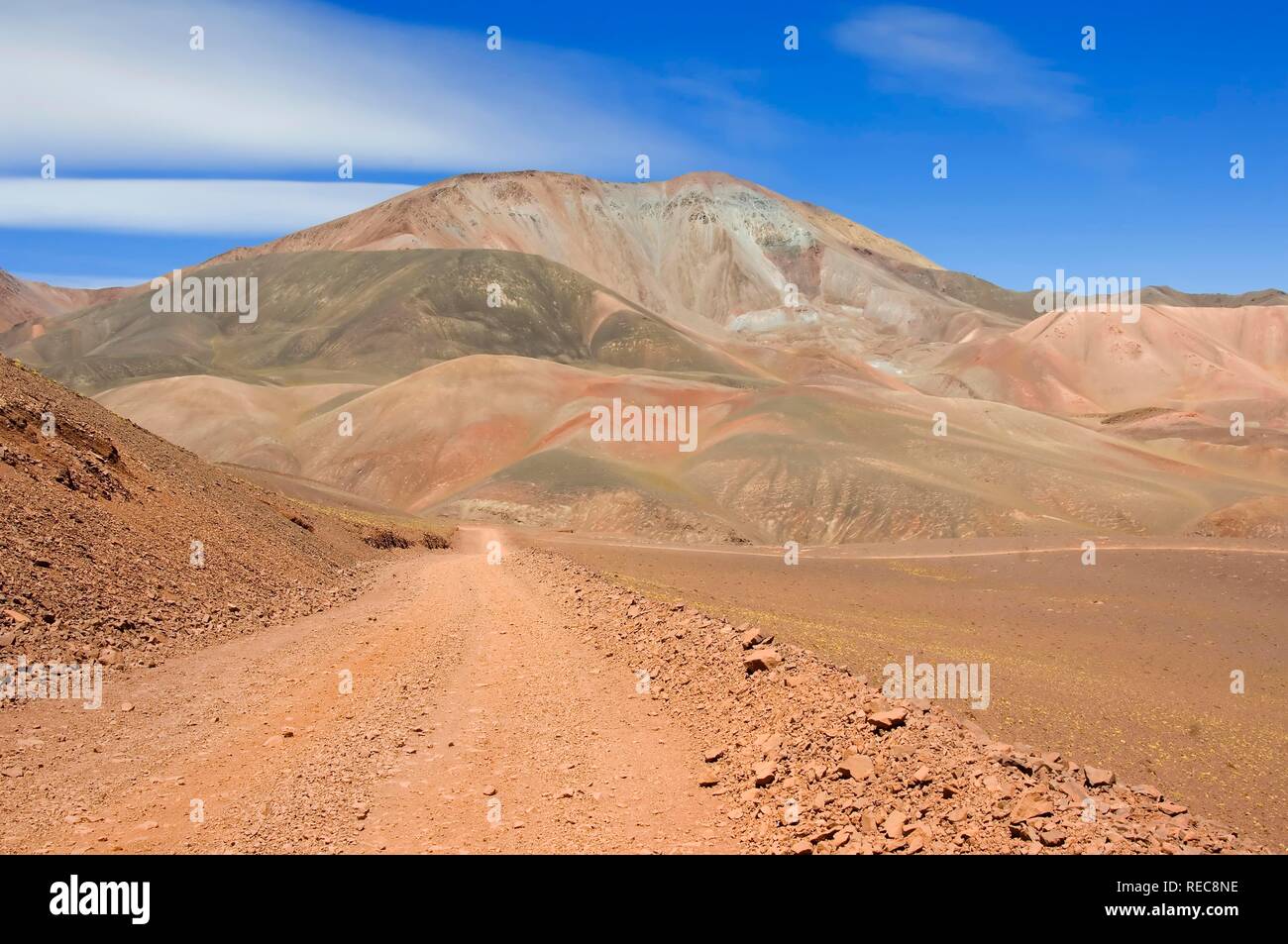 Reserva Provincial Las Vicuñas und Laguna Brava, hohen Anden, La Rioja Provinz, Argentinien Stockfoto