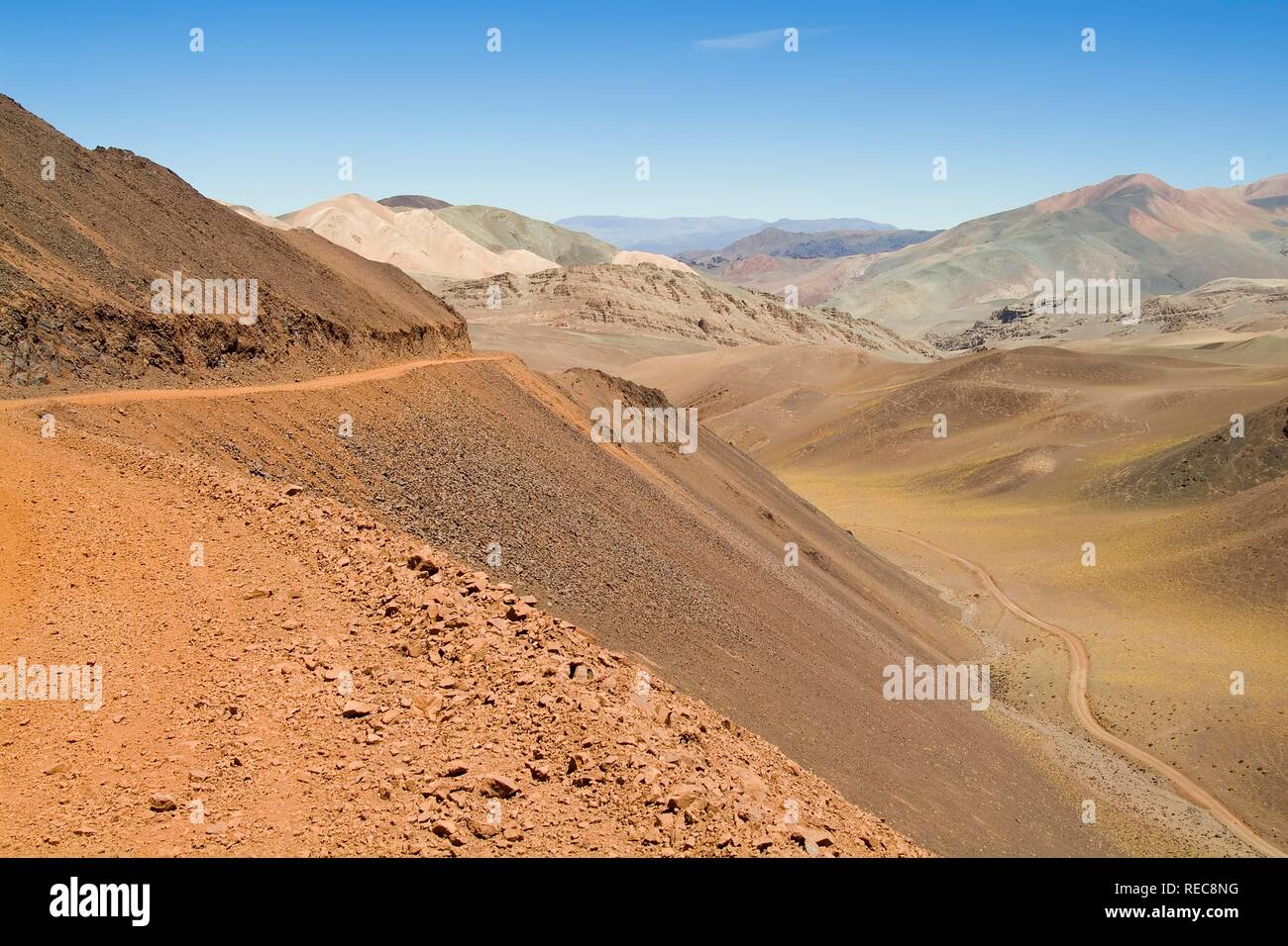 Reserva Provincial Las Vicuñas und Laguna Brava, hohen Anden, La Rioja Provinz, Argentinien Stockfoto