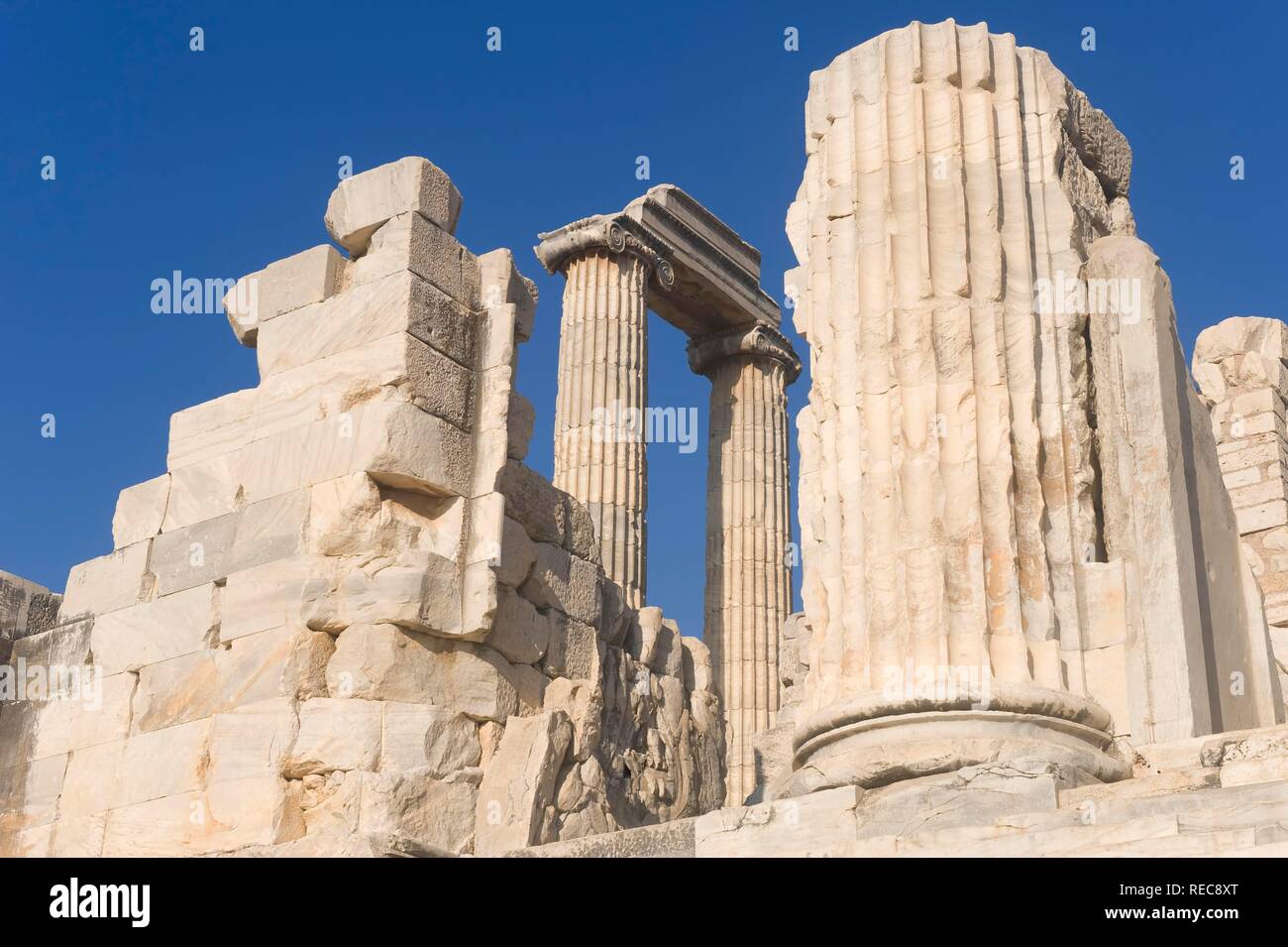 Apollo Tempel, ionische Säulen, Didyma, Türkei Stockfoto