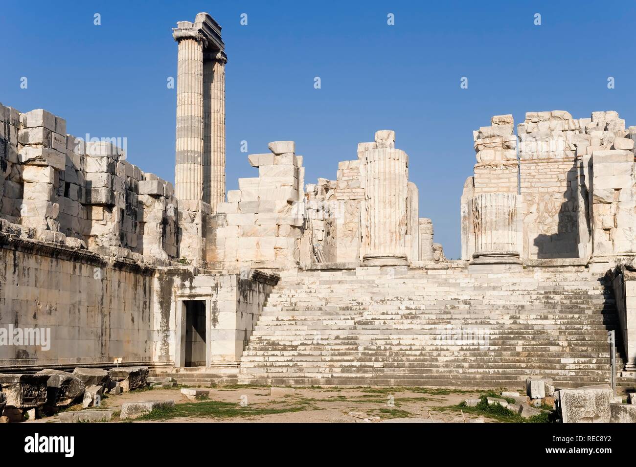 Apollo Tempel, bei der unteren Hof, Didyma, Türkei Stockfoto
