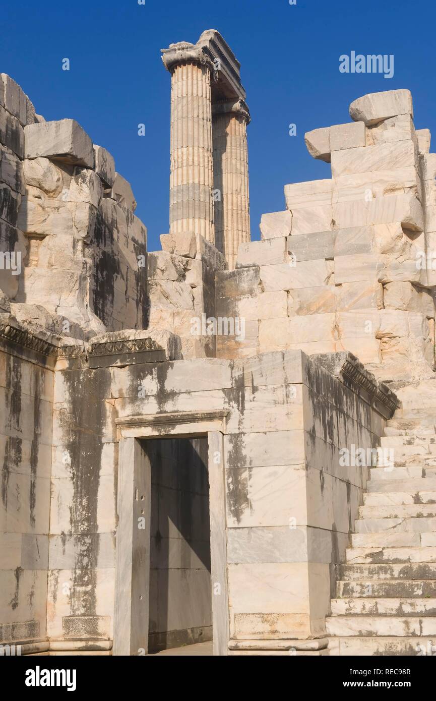 Ionische Säulen, Apollo Tempel, Didyma, Türkei Stockfoto