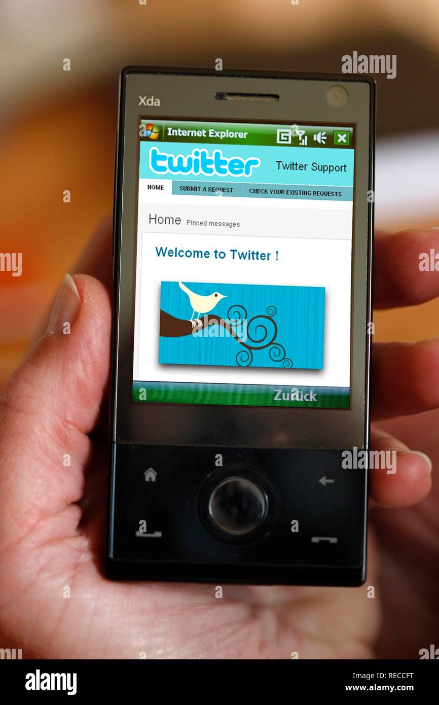 Mobiles Internet, per Handy, Microblogging Twitter online Service. Stockfoto