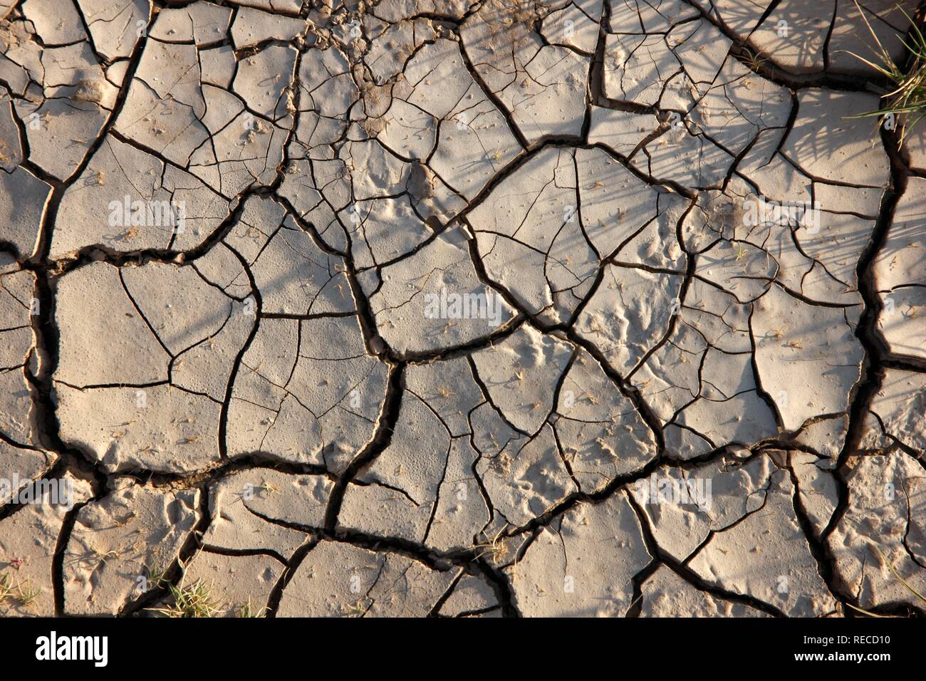 boden dried soil Fotos und Bildmaterial in hoher