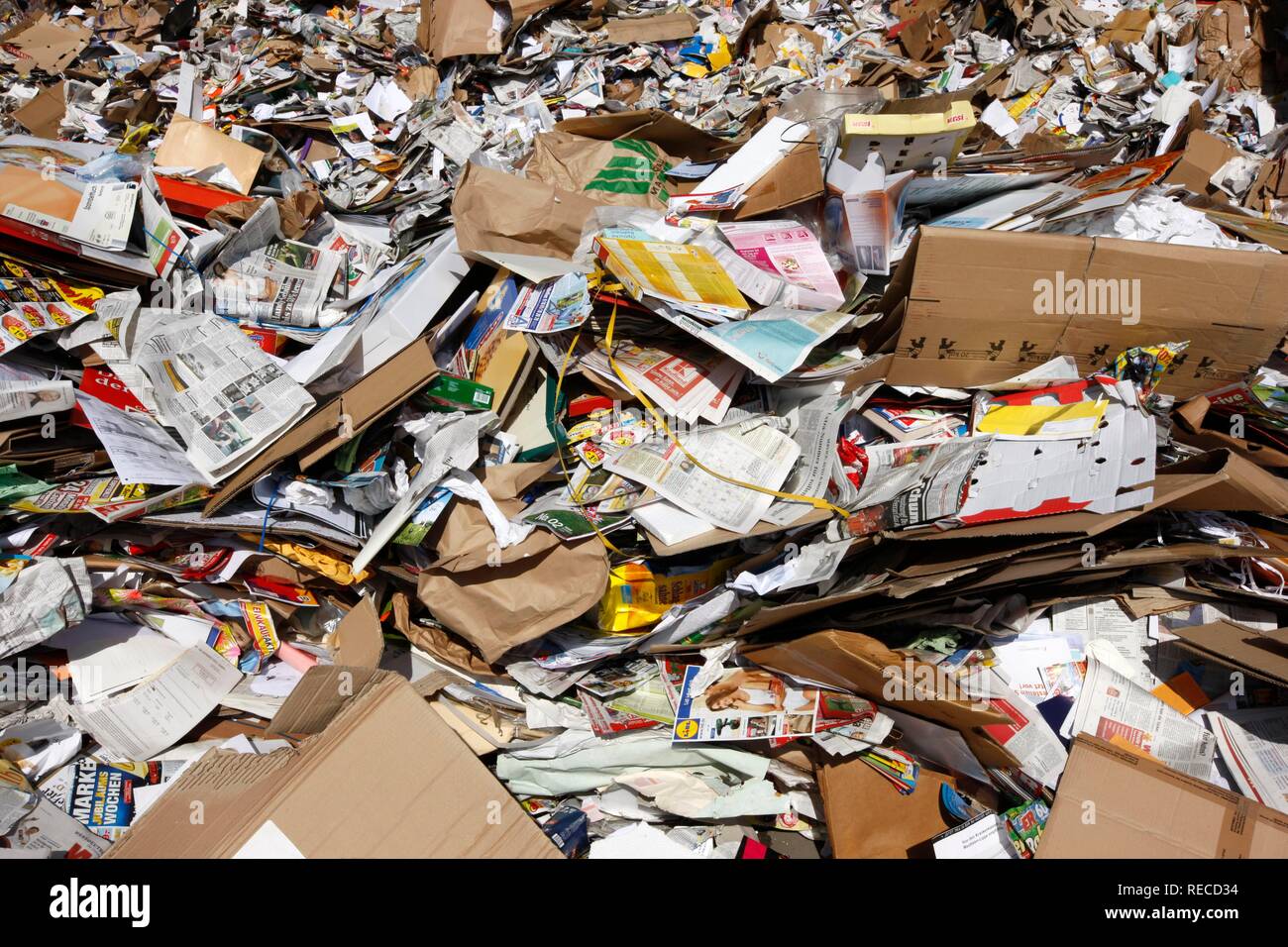 Müllabfuhr, Altpapier Behälter geleert werden, an einer externen Papier Recycling Unternehmen, Gelsendienste, Gelsenkirchens Stockfoto