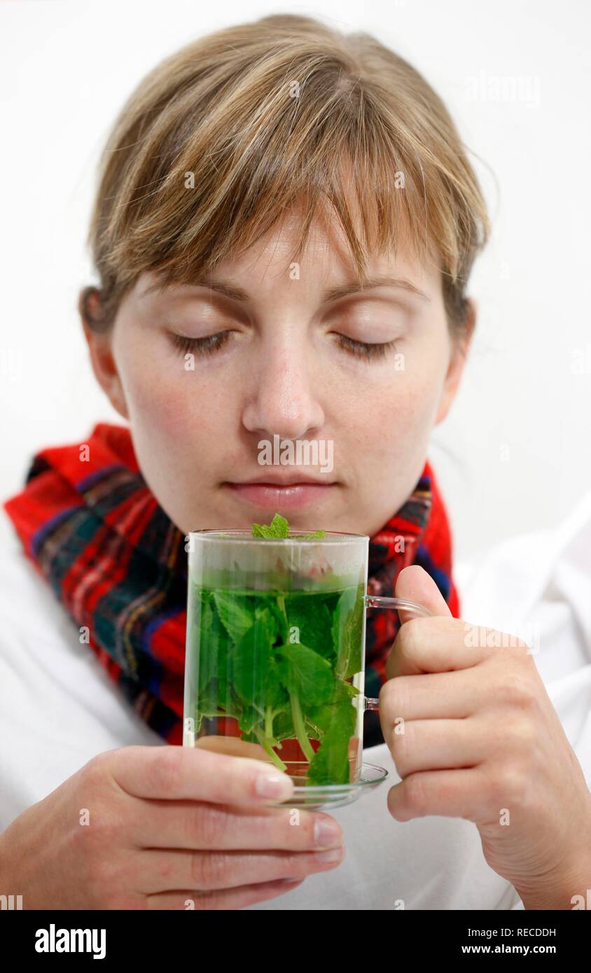 Eine junge Frau mit Halsschmerzen und eine kalte, mit einem Schal, trinken Minze Tee mit frischer Minze, beruhigenden Stockfoto