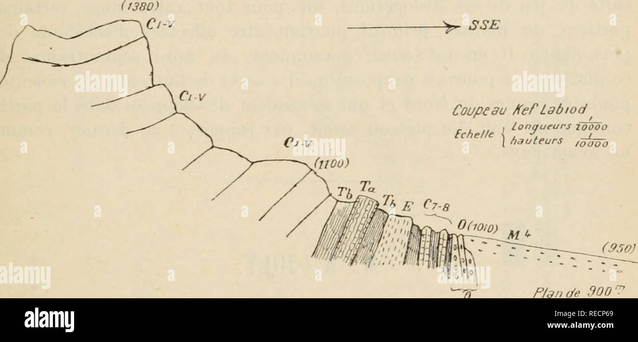 . Compte Rendu. Wissenschaft; Wissenschaft - Kongresse. A. JOLY. Â TECTONIQUE DES HAUTES-PLAINES CONSTANTINOISES. 03 sind Ã©galement redressÃ © s verticalement ou À rOiiest plongent violemment sous rÃocrÃ © tacÃ © d'Allure beaucoup plus calme. Ils prÃ© sentent des Marques de laminage intensiv, Parfois les marno - calcaires ont acquis la Struktur schisteuse; Ailleurs les Ã©lÃ©ments rigides sind transformÃ© s en brÃ¨ ches de Reibung. Au Kef-Labiod du Tafrent auf relÃ¨ve la Coupe suivante: V "y-S"^^. Coupéau/(ePLabiod^^,.. Ich longueurs DES iöw Ã'o Echelle K, â ¢',  i hauteurs,^ OÖ'b P/anÃ e900 'T' l-ig. / Stockfoto