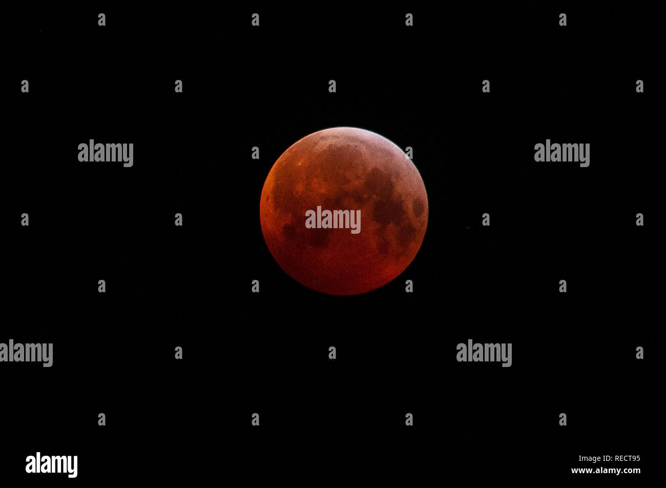 Super Blut Wolf Mond über Allerwash, Northumberland, Großbritannien Stockfoto