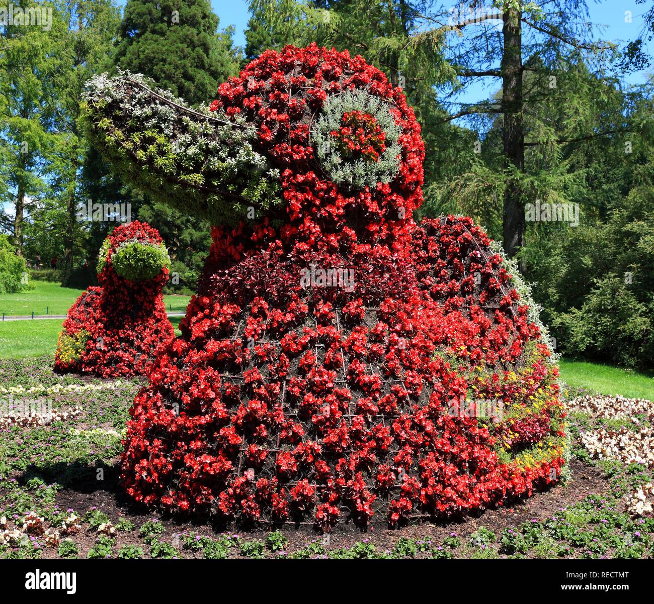 Blumenbeet in Form einer Ente, die Insel Mainau, Bodensee, Kreis Konstanz, Baden-Württemberg, Europa Stockfoto