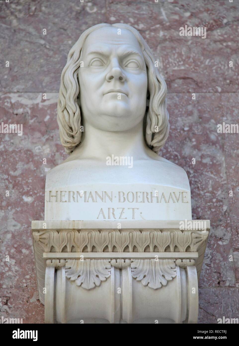 Büste von Hermann Boerhaave, deutscher Arzt Stockfoto