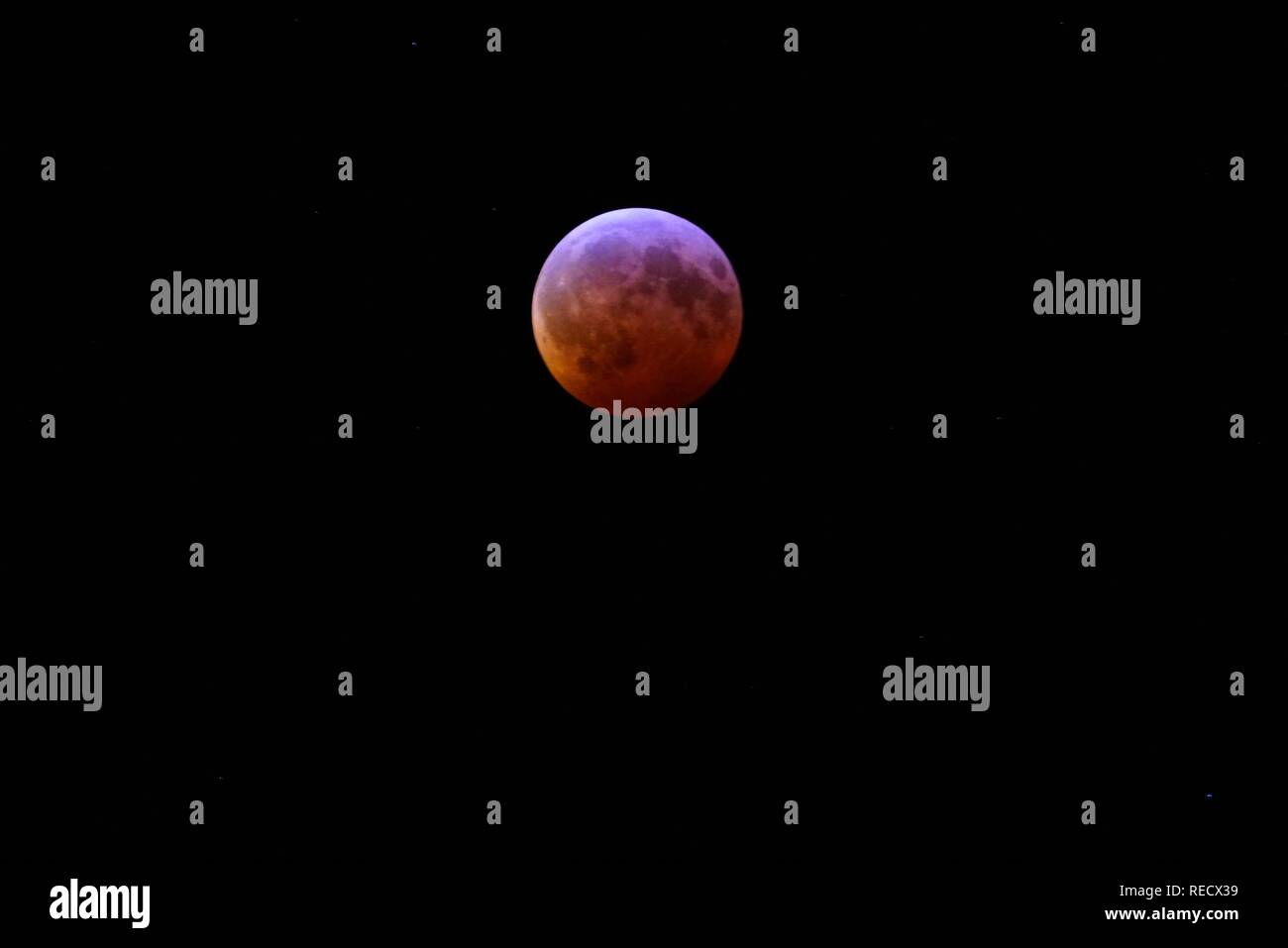 Blick auf den Super Blut Wolf Mond Mondfinsternis vom 20. Januar 2019 aus New Jersey, USA Stockfoto
