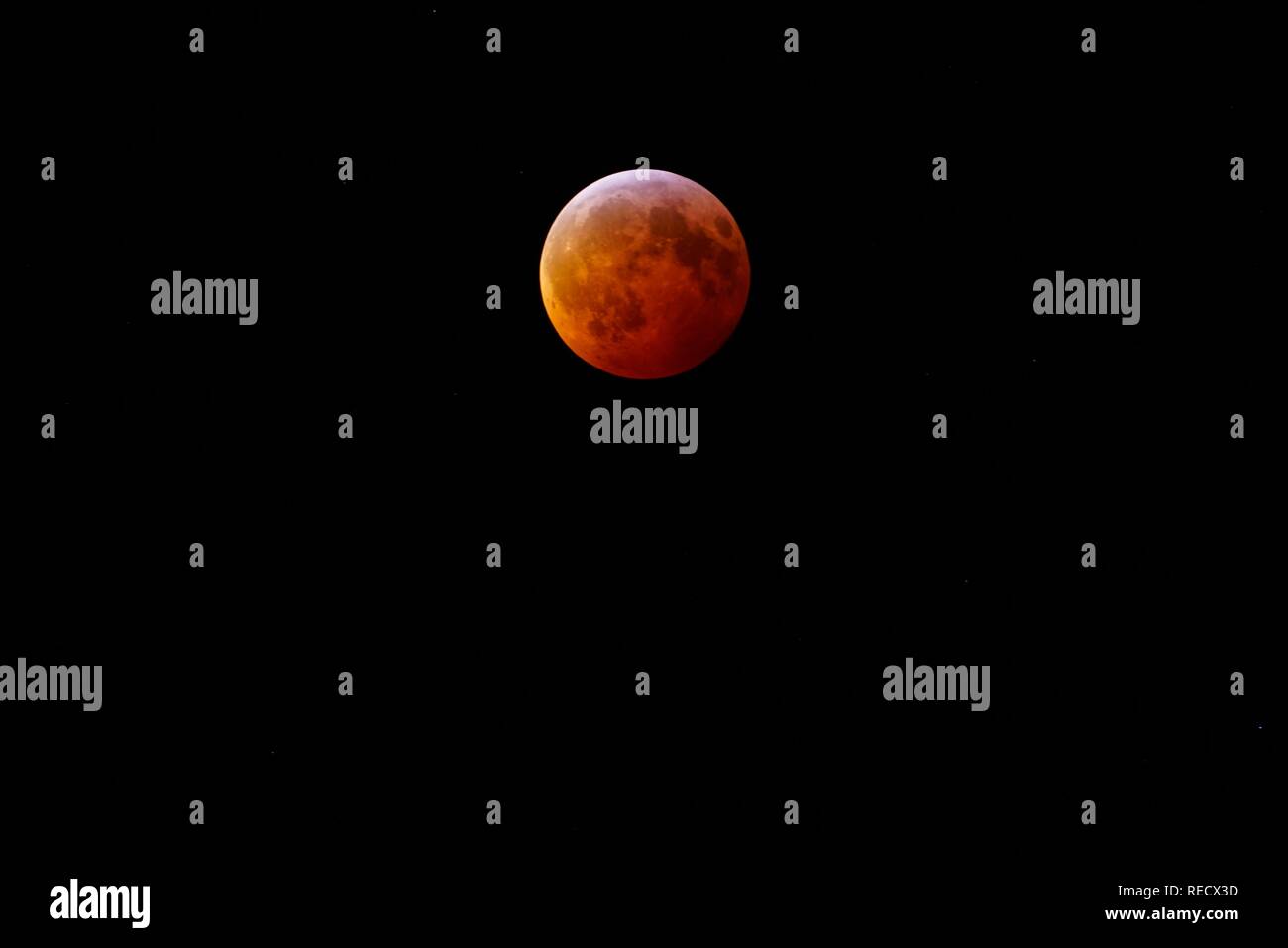 Blick auf den Super Blut Wolf Mond Mondfinsternis vom 20. Januar 2019 aus New Jersey, USA Stockfoto