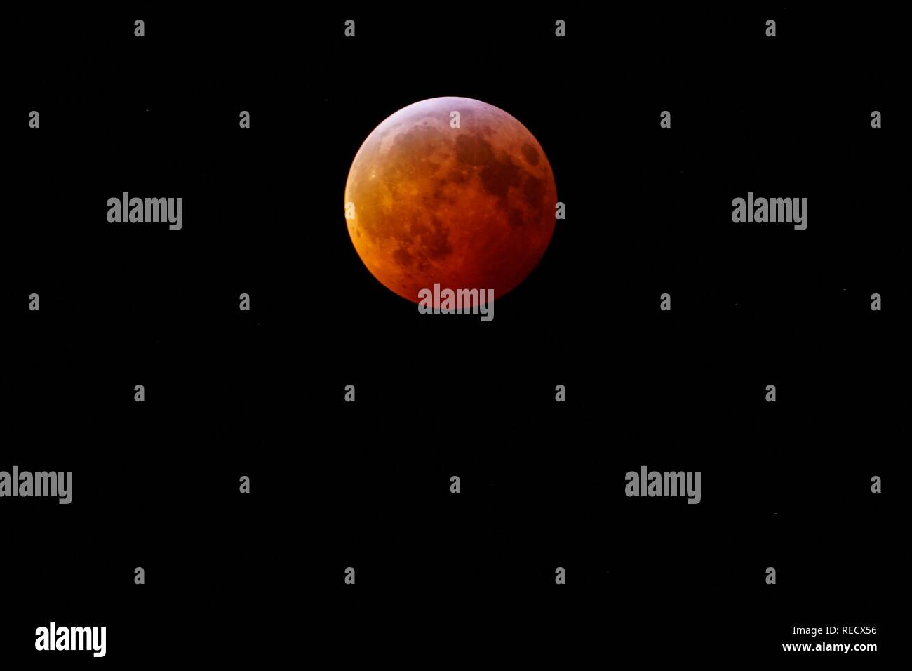 Blick auf den Super Blut Wolf Mond Mondfinsternis vom 20. Januar 2019 aus New Jersey, USA Stockfoto