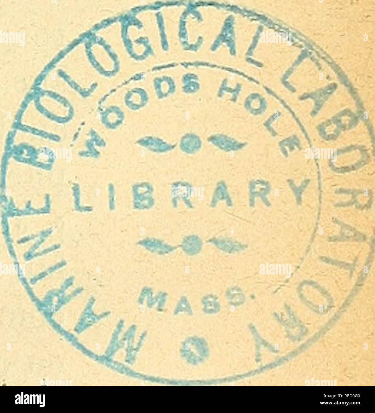 . Comptes Rendus de sÃ©ances de la SociÃ©tÃ© de Biologie et de ses filiales. Biologie. 99 SEANCE DU I" FEVRIER 1902 M. Malassez: Dekor Cà¨s de M. CarriÃ¨re. - M.L. Camus: spö © cificitÃ © et Bedingungen d'ac-tion des prÃ© cipitines (Hinweis à l'Anlass du procÃ¨s-verbal). Â M. in der EU. Retterer: Sur les Modifikationen que Einrichtung Termine l'Enthaltsamkeit dans les Ganglien lymphatiques. "M. En. Retterer: Struktur et Bewegun des Ganglien lymphatiques dans l'ESPÒ ¨ ce humaine. "M. A. Railliet: Sur quelques SclÃ © rostomiens Parasiten des Wiederkäuer et des Porcins. Â Struktur et Bewegun des Ganglien lymp Stockfoto