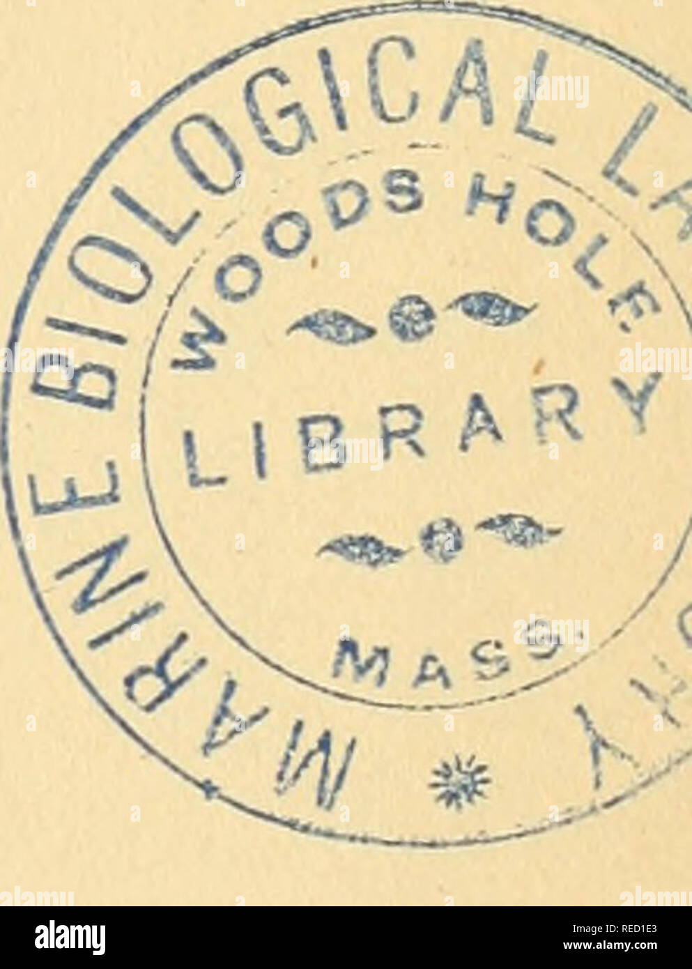 . Comptes Rendus de sÃ©ances de la SociÃ©tÃ© de Biologie et de ses filiales. Biologie. VII MEMBRES ASSOCIÃS. Mm. Agassiz. Bär (de). Bennett (Hughes). Ehrenberg. Gurlt (ernst-friedrich). Huss (Magnus). Jones (Bence). Lebert (H.). Liebig (Justus). Mohl (Hugo von). Mm. Owen (Richard). Paget (James). Pouchet pÃ¨re. Purkinje. Queteley. Schwann. Siebold. SÃ© dillot. Valentin. MEMBRES CORRESPONDANTS NATIONAUX. Mm. Beylard à Paris. Blondlot à Nancy. ChaussÃ¢ t à Aubusson. Chauveau à Lyon. Cotard Ã Gouers. Courty à Montpellier. Dareste à Lille. Desgranges à Lyon. Dufour (Gustave) À-Rom. DugÃ ¨ s aÃ®nÃ© au Stockfoto