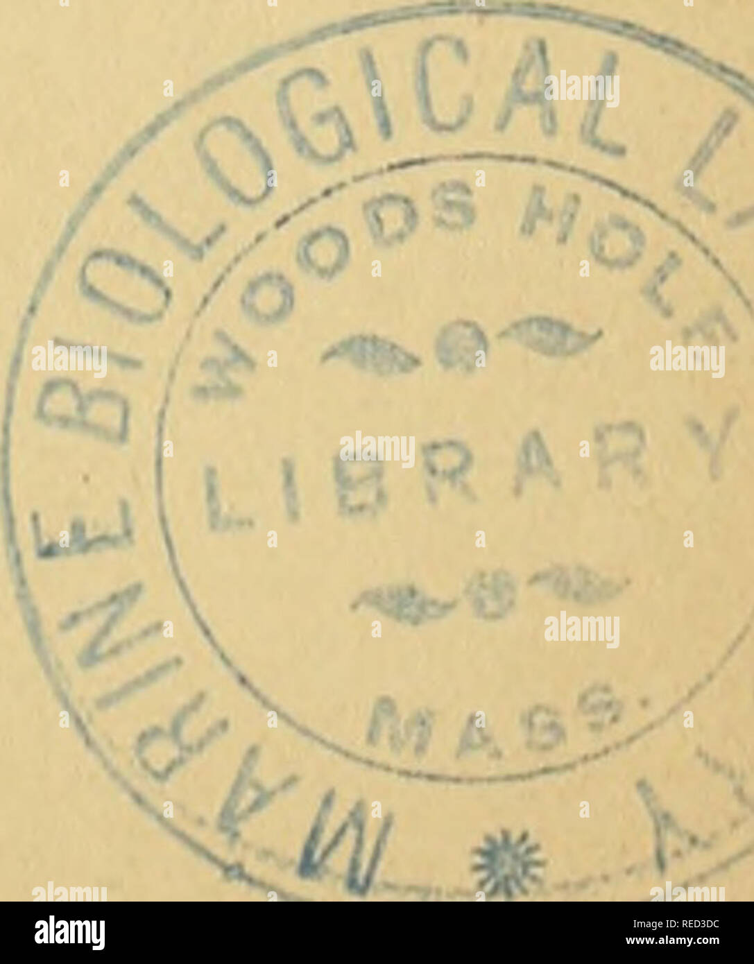 . Comptes Rendus de Séancen de la Société de Biologie et de ses filiales. Biologie. LISTE DES MEMBRES DE LA SOCIÉTÉ DE BIOLOGIE DE 4 876. Zusammensetzung DU BUREAU. Président perpétuel... Claude Bernard. M. Laborde. Vice-présidents J M^^ Sécretaire général.... M. Dumontpallier. ! M. Hallopeau. M. Hanot. M. Nepveu. M. Pierret. Chatin Trésorier M. (Joannes). Archiviste M. Hardy. "MEMBRES HONORAIRES. Mm. Andral. Becquerel. Bernard (Claude). Bouillaud. Chevreul. Dumas. Mm. Queneau de Mussy (Henri). Littré. Milne Edwards. De Quatrefages. N... N... a. Bitte beachten Sie, dass diese Bilder extrahiert werden fr Stockfoto