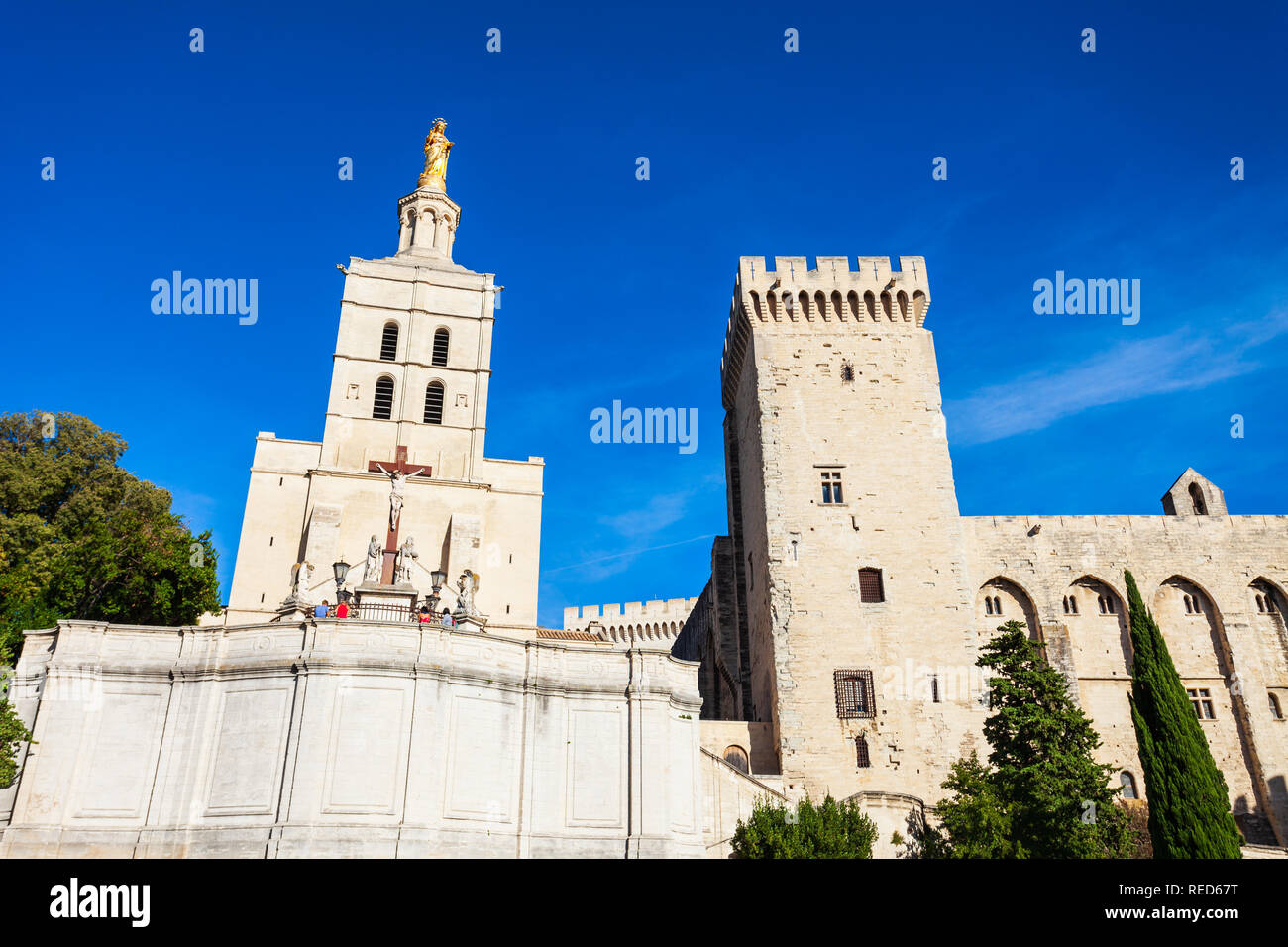 In der Kathedrale von Avignon Avignon Stadt, Südfrankreich. Stockfoto
