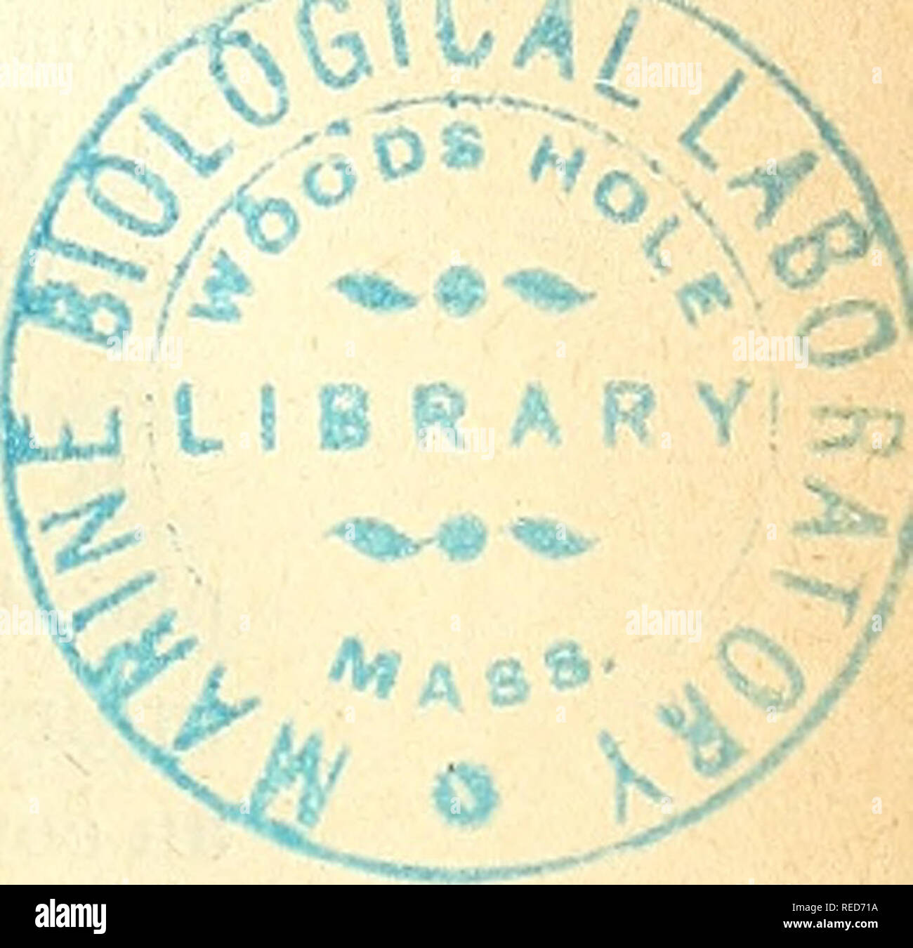 . Comptes Rendus de sÃ©ances de la SociÃ©tÃ© de Biologie et de ses filiales. Biologie. 31^' t3^^^ A/SEANCE DU 19 Juin 1912 SOMMAIRE BuRNE'i (Et. j et Mantoux (Ch): Impfung - tuberculeuse par Voie intradei mique. 384 Bosquet (H.) et PezzÃ ¯ (C.): In-fluence du Calcium sur l'Erscheinung ou l'exagÃ©ration du raleatissement expiratoire du cÅur chez le Chien. 382 Garini (A.): Sur un Nouvel Hôtel © ma-tozoaire du Taube. 396 Drzewina (Anna) et Bohn (Georges): Bemerkungen surVEleuthei-ia clape - redei Hartl. et son polype 393 Ferreiha de Mira: De l'Einfluss des glandes surrÃ©nales La sur c Stockfoto