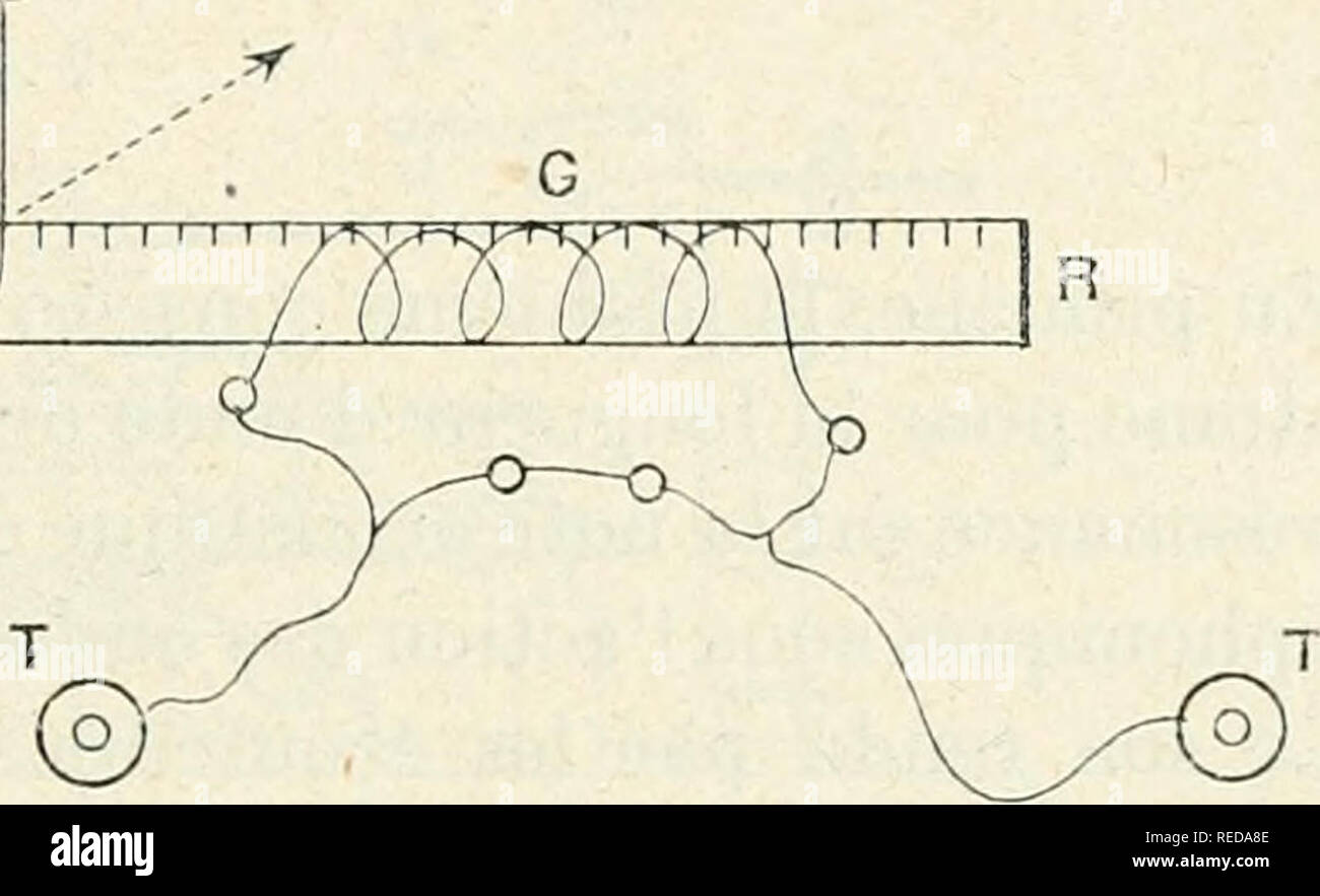 . Compte Rendu. Wissenschaft; Wissenschaft - Kongresse. l'MI. . IfcOOU. SIGNAUX UA1) K) TE r. Kli es AI' HIQUES. 177 Schneckaufkommen expÃ©rimentateurs ont proposÃ© et utilisÃ© Ja mÃ©thode de Shunt qui consiste À-rangierlok les Ã © couteurs tÃ©lÃ©phoniques par une rÃ©Stenz variable. Evidemment plus le Sohn perÃ § u dans les Ã © couteurs est Ã©nergique, plus il faut diminuer la rÃ©Stenz Shunt gießen Dekor Fluss Le Courant variaijle qui provoque par son Passage les Vibrationen de la membrane tÃ©lÃ© pho-nique. De sorte Que, sur une boÃ®te à Pont, un peut lire À chaque mesure la Source Ã©lectrique D Erregung Hertzienne ou Stockfoto