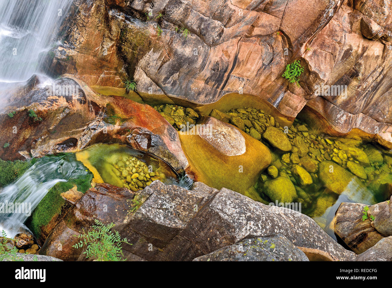 Wilde Schlucht mit Wasserfällen, riesigen Felsen und cristaline Wasser Stockfoto
