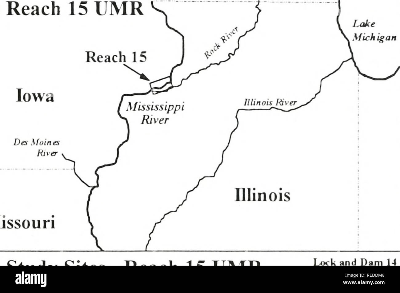. Eine umfassende Bewertung von drei Muschelbänke in Reichweite 15 der oberen Mississippi River. [Elektronische Ressource]. Biologie; Ökologie; Muscheln; Ökologie; Datenverarbeitung; Dichte; Management; Monitoring; Rekrutierung; Probenahme; Mississippi River; niedrige Rate; aquatische Biologie; Wachstum (Physiologie). A) Geografische Lage (b) Gesetzliche Beschreibung V&gt;^ Elb, css; ^^j Iowa Mississippi ^'': ^°^/zr ^^^^/y^'^3.-^^"^^, Illinois/Des Moines J^) Riyer S 4.-fc-L.:^1 6.-*-*?s-V) Missouri NL w.^. 7.-^t^' 1.)/ml der Bereich direkt oberhalb Schloss und Damm 12 (RM 556.7) von der Mitte der Navigation Channel-e Stockfoto