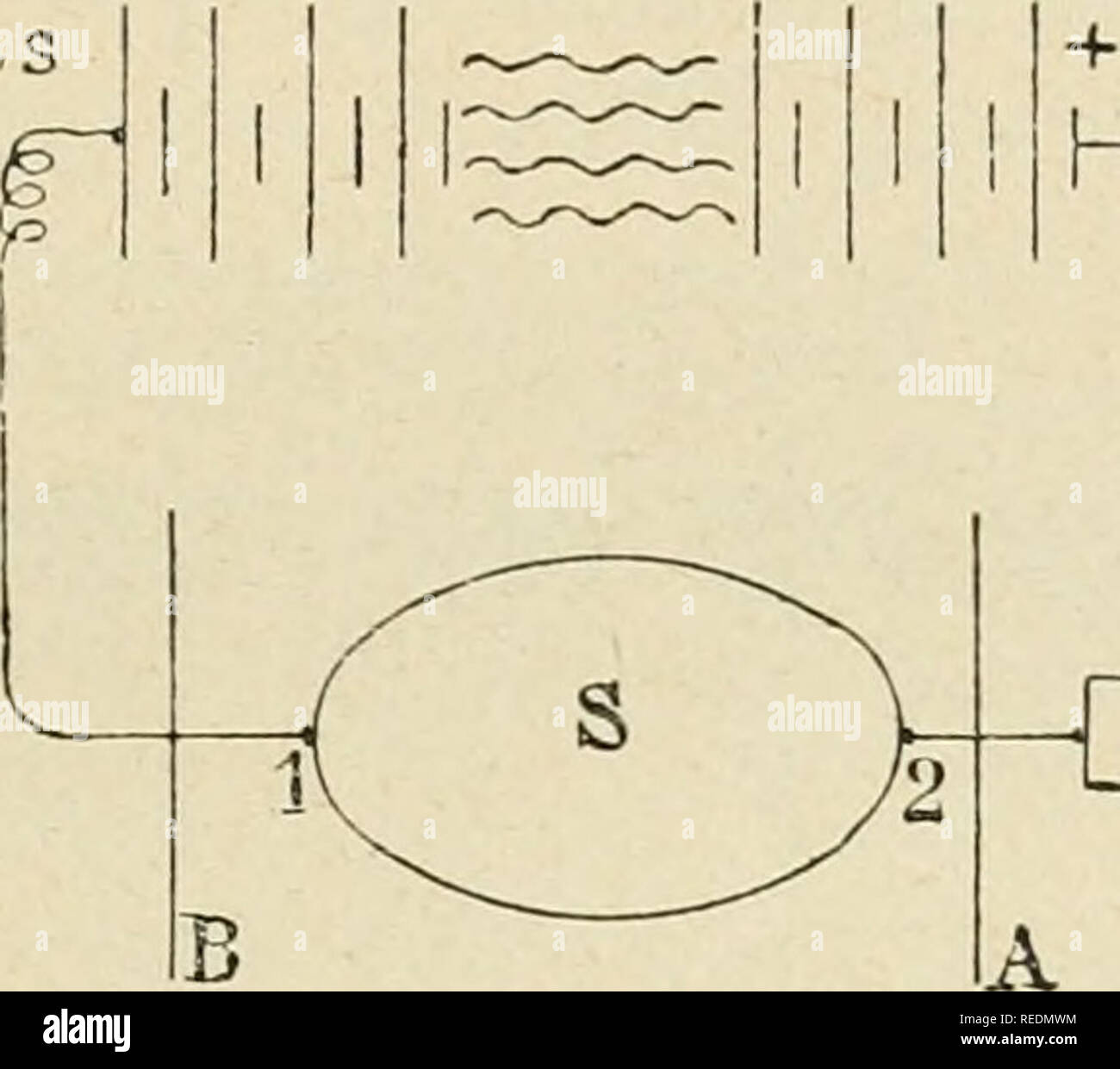 . Compte Rendu. Wissenschaft; Wissenschaft - Kongresse. D "^ST. LEDUC.  COURANTS INTERMITTENTS DE BASSE TENSION IO 7 ICH résistances, des capacités, des Selbst-Induktionen, des Abschnitte du cir cuit, etc., des difféHinweise entre les diffémieten Punkte d'un-Stromkreis, Dif-fé Hinweise jusqu'Ici complètement méconnues et qui s'imposent à l'étude De physiologistes et des médecins, Auto elles influencent toutes les Aktionen physiologiques de l'électricité. ConsidéRons par Beispiel, Abbildung 7, une à © lectrode aktiv Ich en Rap-j) Ort avec Le pÃ'le, d'une source à grand Dekor Bit, c'est-À-dire avec un â 5 5 Vol. Stockfoto