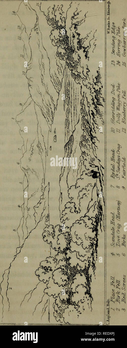 . Eine komplette Anleitung zur englischen Seen: Mit Frontispiz, Reisen, Karten, und ein Konto der Blütenpflanzen, Farnen und Moosen des Bezirks, und ein vollständiges Verzeichnis. Natural History. . Bitte beachten Sie, dass diese Bilder sind von der gescannten Seite Bilder, die digital für die Lesbarkeit verbessert haben mögen - Färbung und Aussehen dieser Abbildungen können nicht perfekt dem Original ähneln. extrahiert. Martineau, Harriet, 1802-1876. Windermer: John Garnet; London: Whittaker &Amp; Co.: Hamilton, Adams, &Amp; Co.: Longman &Amp; Co.: Simpkin, Marschall, &Amp; Co. Stockfoto