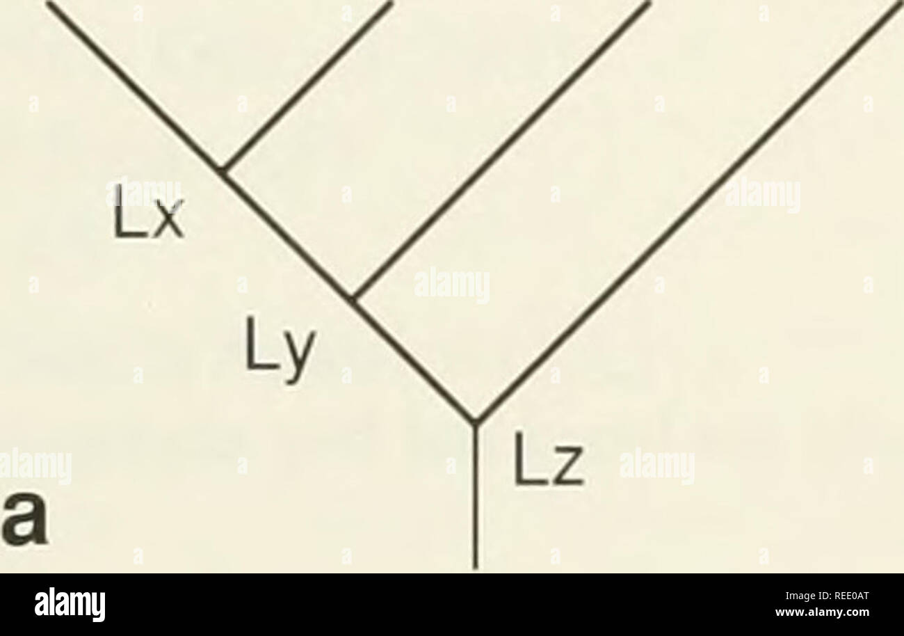 . Das compleat cladist: a Primer von phylogenetische Verfahren. Cladistic analysis; Zoologie -- Einstufung; Phylogenie. Koevolutionären Studien 119 Beispiel 7.2.-Zwei-Gruppe Analyse. Die hypothetischen Beispiel unten für zwei Taxa in Betracht ziehen. Lizard (L) und Frosch (F), bewohnen - ing die gleichen Bereiche (von Humphries und Parenti, 1986). Tlie Beziehungen beider Gruppen sind in Bild 1 dargestellt. 7.4. Ihre biogeographischen Bereiche werden unter Sie. Li: Australien (AS) L2: New Guinea (NG) L3: Südamerika (SA) L4: Afrika (AF) F1: F2: NG F3: SA F4: AF L1 L2 L3 L 4. F1 F2 F3 F4. Bitte beachten Sie, dass diese Bilder extrahiert werden fro Stockfoto