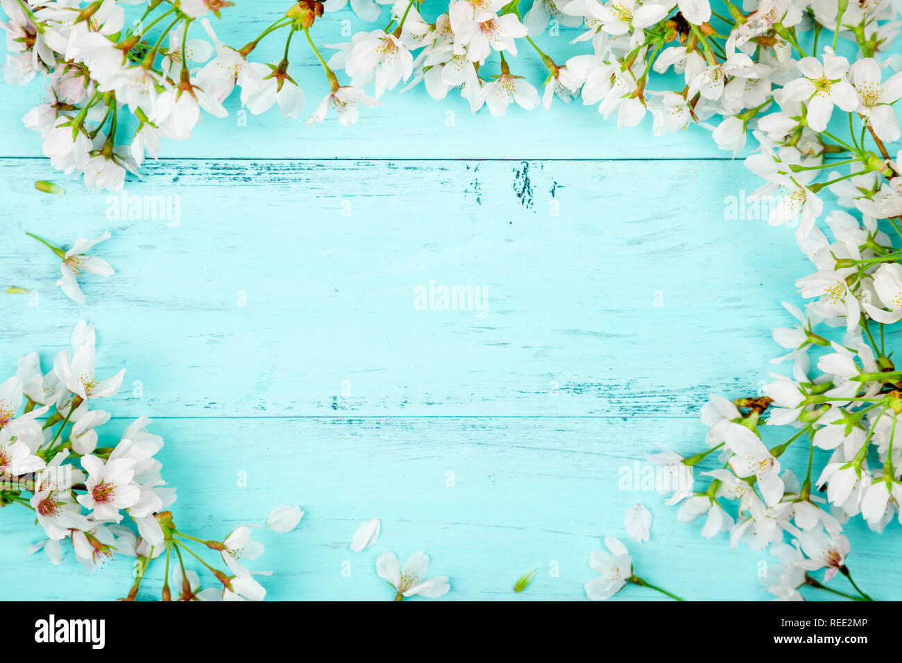 Turkis Blumen Hintergrund Stockfotos Und Bilder Kaufen Alamy