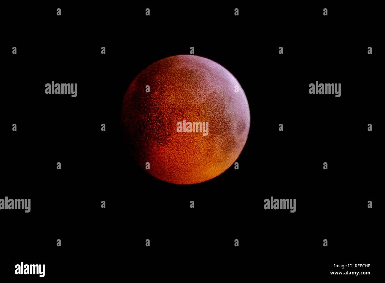 Super Blut Wolf moon Eclipse in Wales, Großbritannien. Eine schöne phänomenal, dass das Beeindruckende an und super zu sehen, zu bewundern, und passiert nicht sehr oft Stockfoto