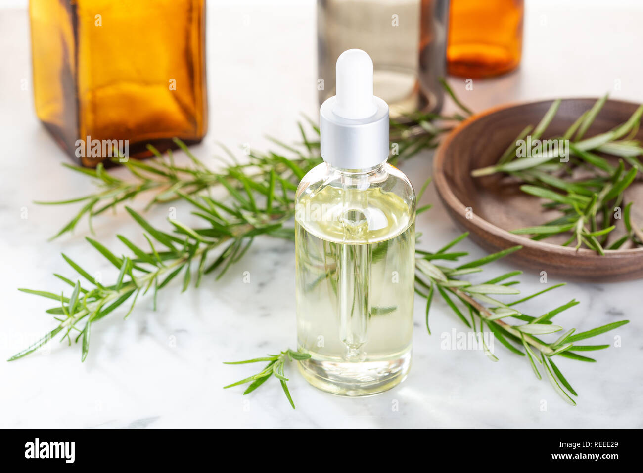 Rosemary wesentliches Öl. Rosmarin Öl zur Hautpflege, Spa, Wellness, Massage, Aromatherapie und natürliche Medizin Stockfoto