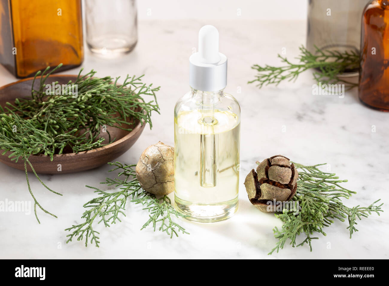Zypresse ätherisches Öl. Zypresse Öl auf Glas Flasche für Schönheit, Hautpflege, Wellness. Alternative Medizin Stockfoto