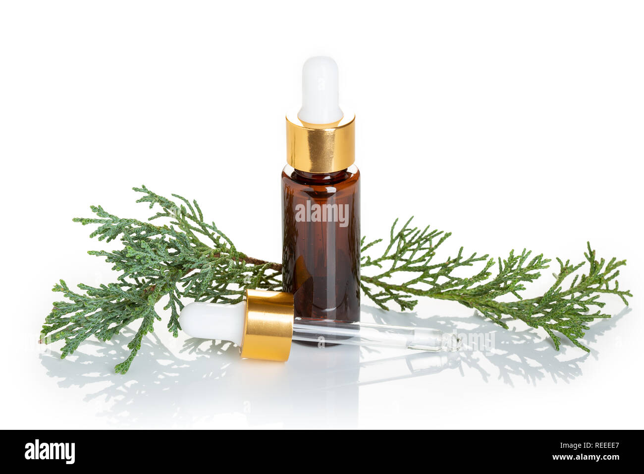 Zypresse ätherisches Öl auf weißem Hintergrund. Zypresse Öl auf der Flasche für Schönheit, Hautpflege, Wellness. Alternative Medizin Stockfoto