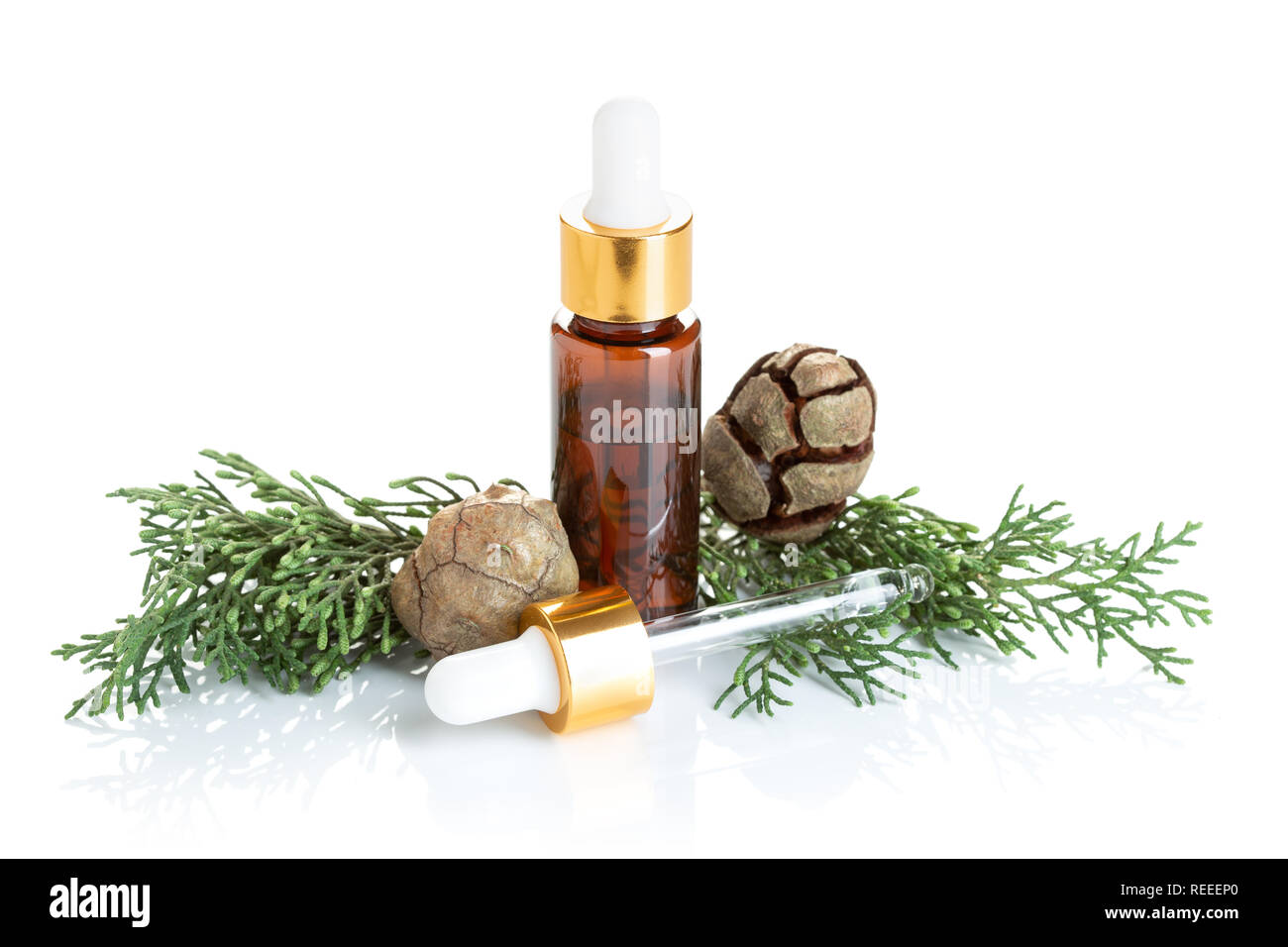 Zypresse ätherisches Öl auf weißem Hintergrund. Zypresse Öl auf der Flasche für Schönheit, Hautpflege, Wellness. Alternative Medizin Stockfoto
