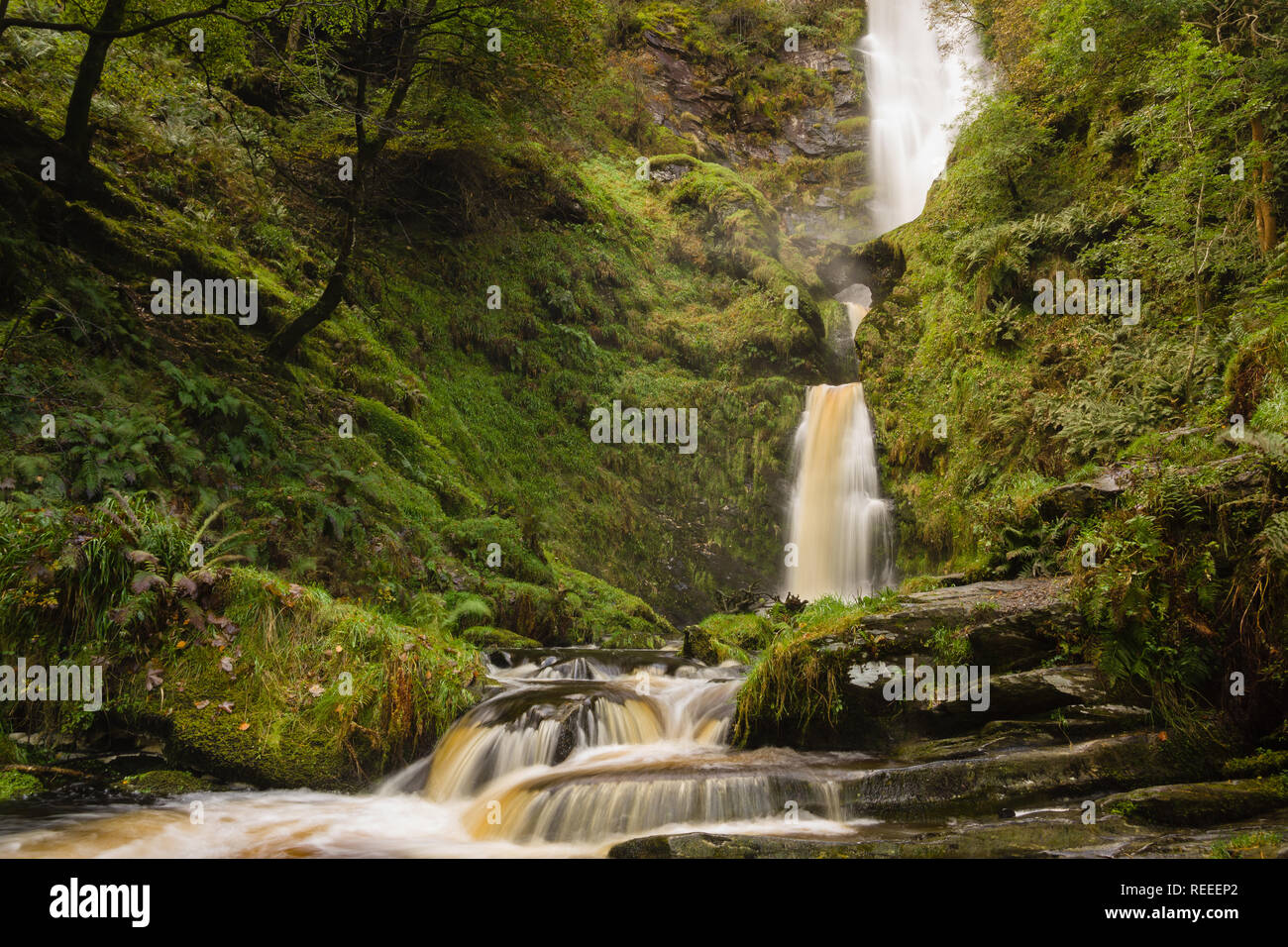 Pistyll Rhaeadr Wasserfall in Llanrhaeadr ym Mochnant Powys eines der sieben Wunder von Wales und ein Ort von besonderem wissenschaftlichen Interesse Stockfoto