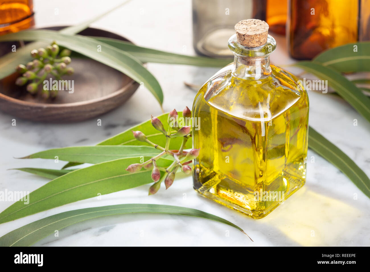 Eukalyptus ätherisches Öl. Eukalyptus Öl zur Hautpflege, aromatheraphy, Wellness, Kräutermedizin Stockfoto