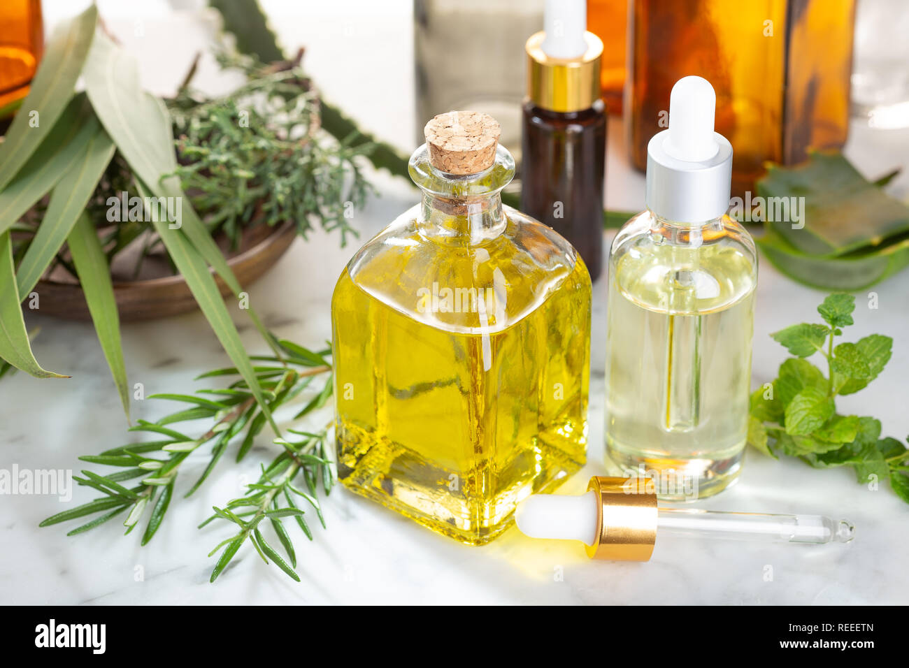 Pflanzliche ätherische Öl. Rosmarinöl, Eukalyptusöl, Aloe vera, pepermint und tanne Öl für Aromatherapie, Wellness, Hautpflege, pflanzliche Heilmittel Stockfoto