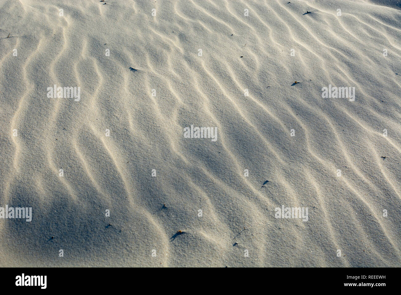 Muster in den Sand am Strand, North Stradbroke Island, Queensland, Australien Stockfoto