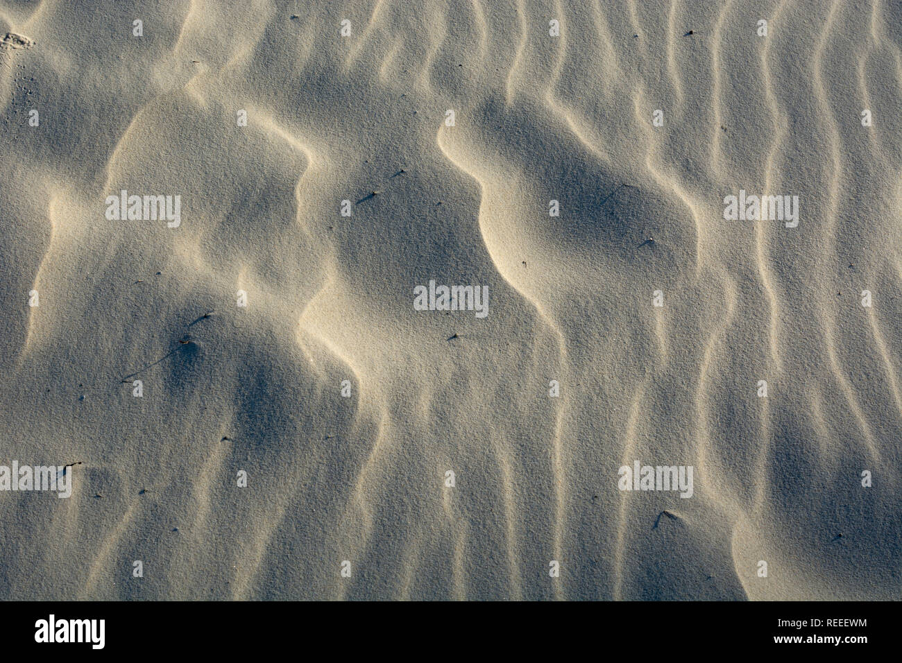 Muster in den Sand am Strand, North Stradbroke Island, Queensland, Australien Stockfoto