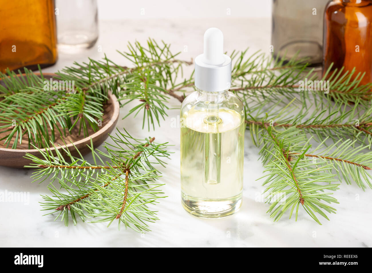 Kiefer ätherisches Öl. Kiefer Glas Öl Flasche für Schönheit, Hautpflege, Wellness. Alternative Medizin Stockfoto