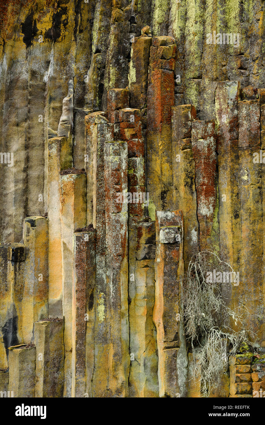Flechten bewachsene Basaltsäulen im Soda Springs auf dem Norden Umpqua River; Umpqua National Forest, Oregon. Stockfoto