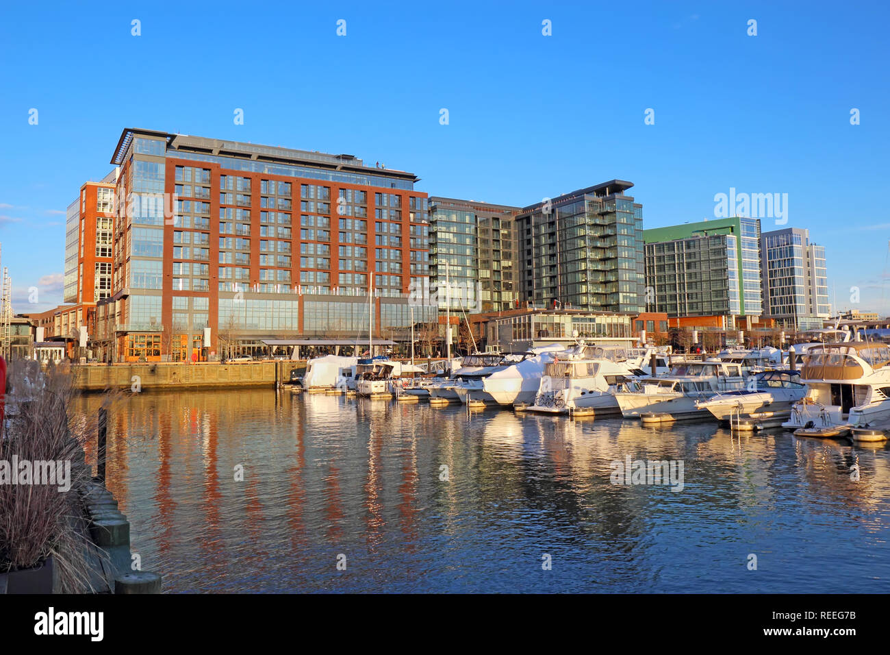 Boote und Skyline von Gebäuden im neu sanierten Südwesten Hafengebiet von Washington, DC gesehen vom Wasser im Herbst Stockfoto