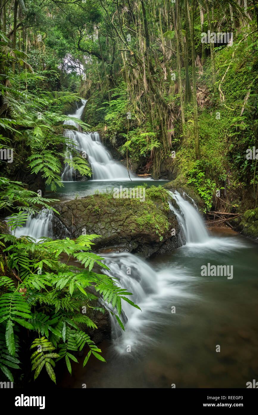 Wasserfälle auf Onomea Stream, Hawaii Tropical Botanical Garden, Insel von Hawaii. Stockfoto